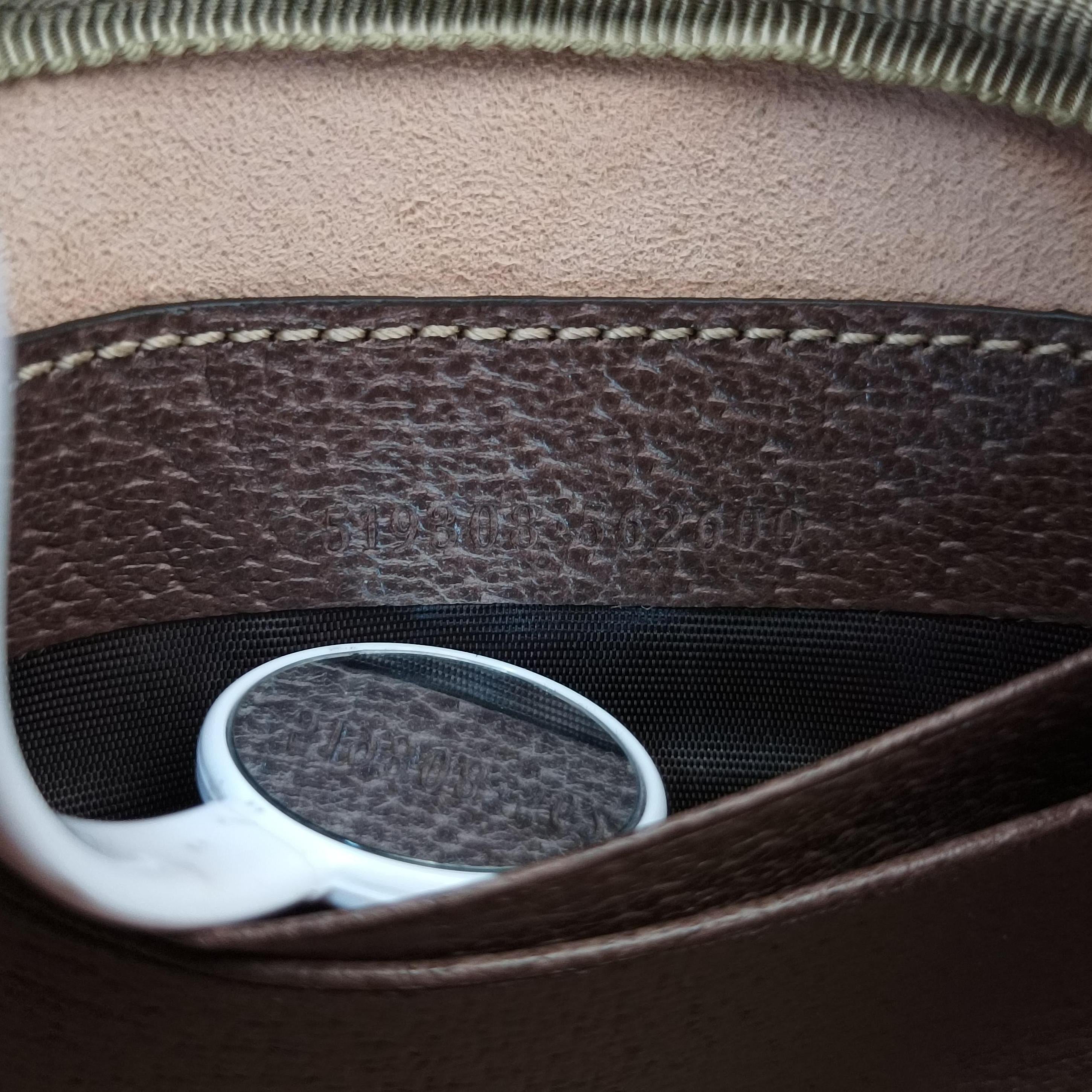 Ophidia Brown×green×red PVC coated canvas×leather 519308 オフィディア ブラウン×グリーン×レッド PVCコーティングキャンバス×レザー 519308