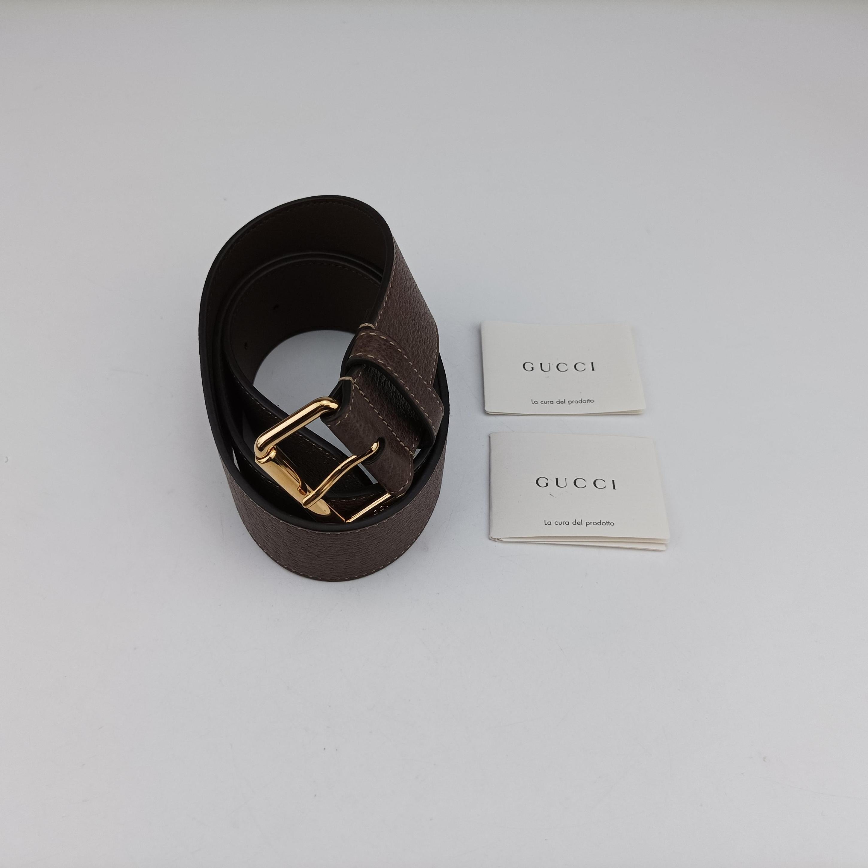 Ophidia Brown×green×red PVC coated canvas×leather 519308 オフィディア ブラウン×グリーン×レッド PVCコーティングキャンバス×レザー 519308