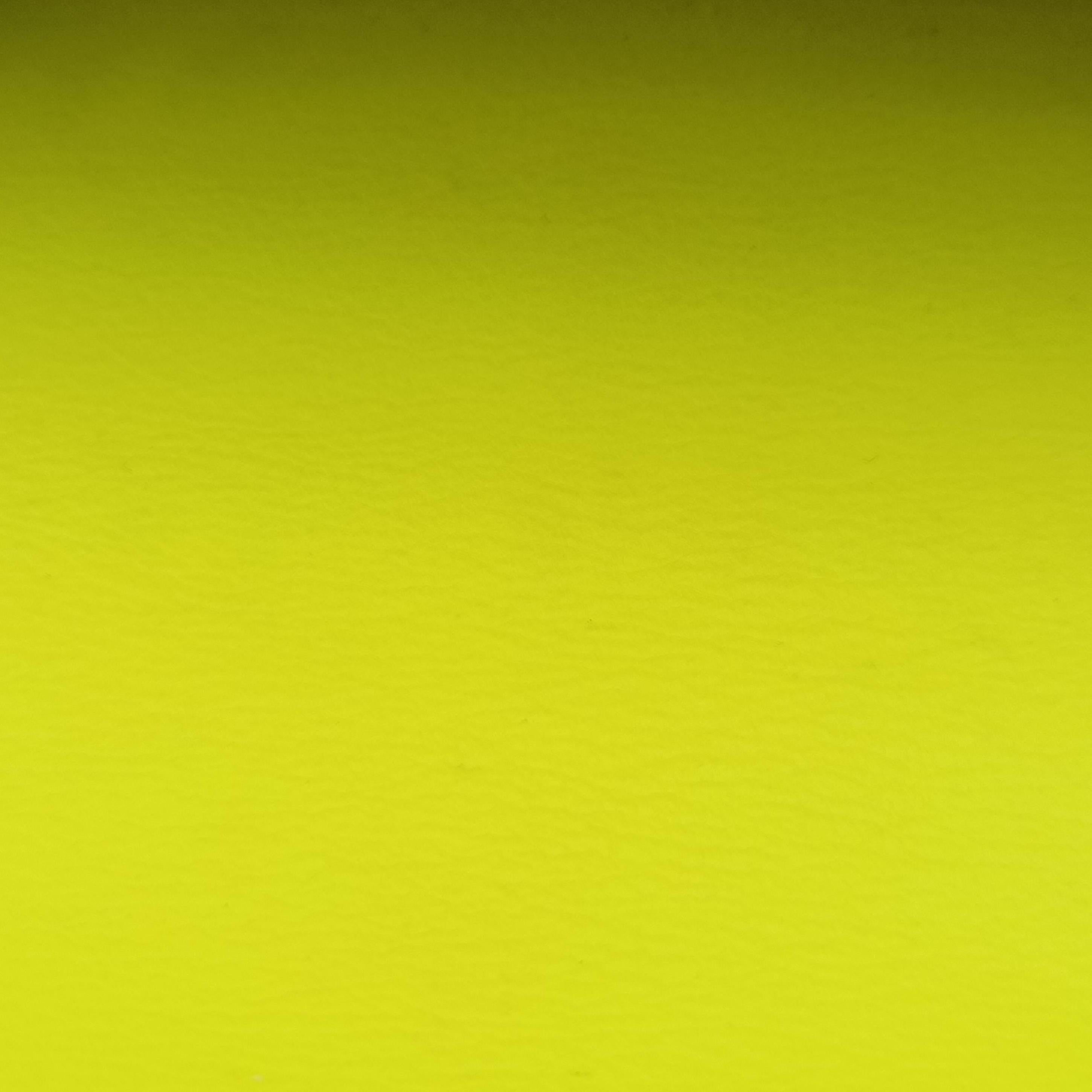 KATE Yellow Leather 344620 FLY344620.0214ケイト イエロー レザー 344620 FLY344620.0214