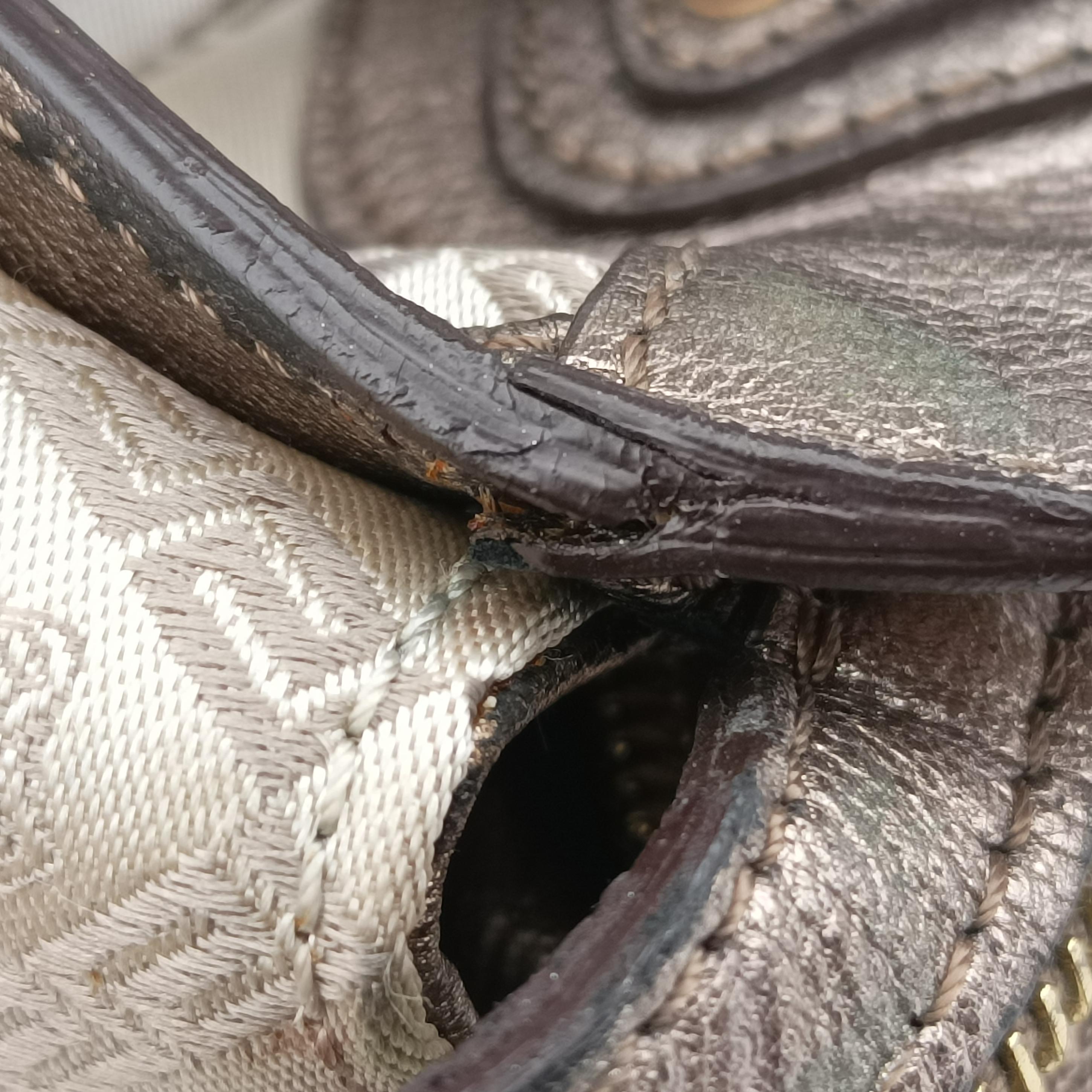 medusa Beige x Gold Canvas x Leather メデゥーサ ベージュ×ゴールド キャンバス×レザー