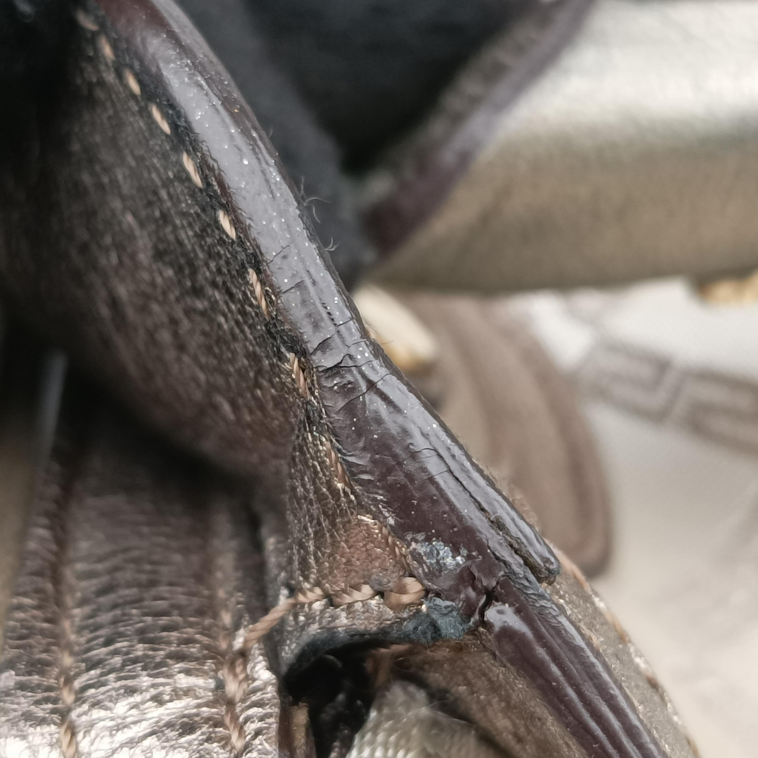 medusa Beige x Gold Canvas x Leather メデゥーサ ベージュ×ゴールド キャンバス×レザー