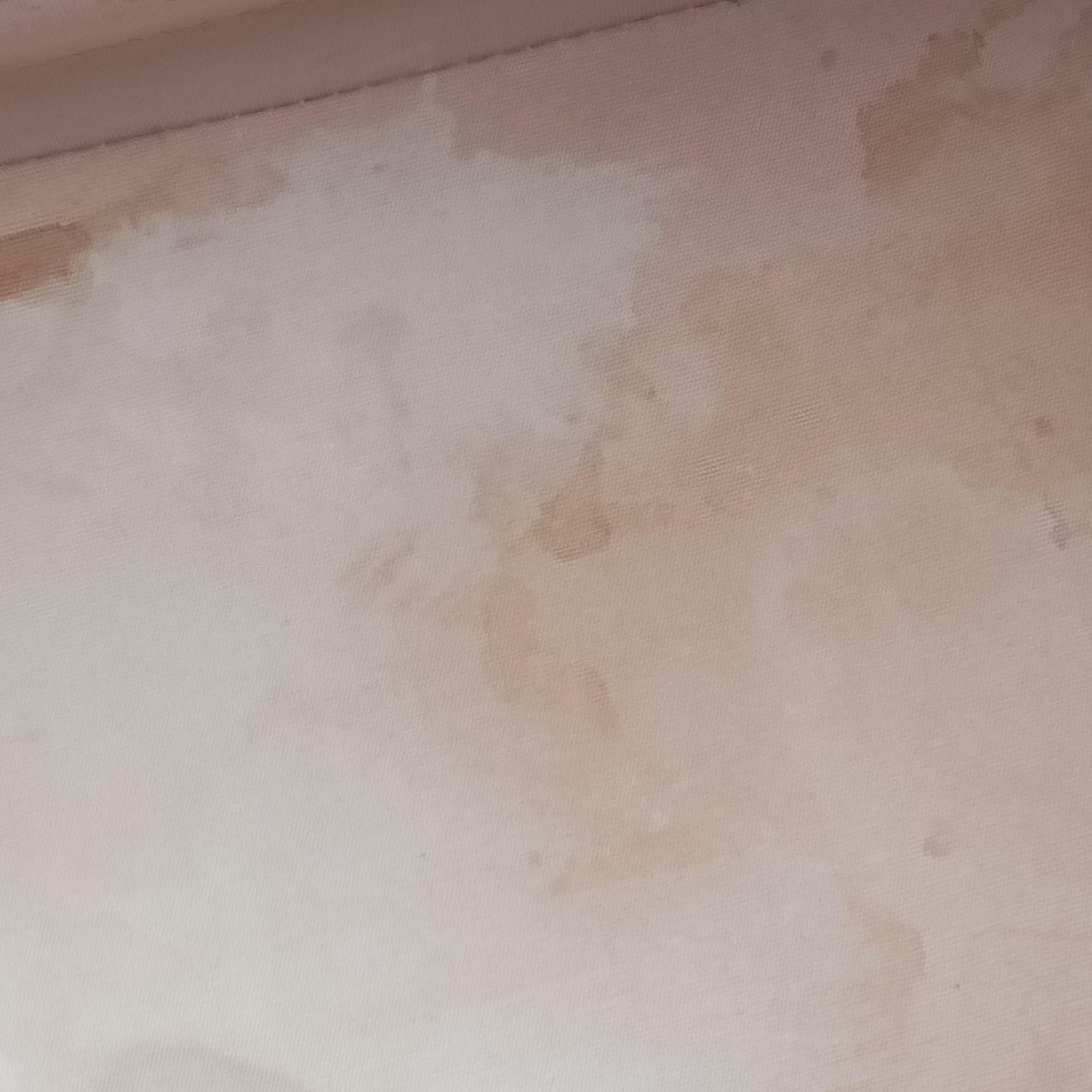 Alma PM jone passion Vernis M91695 MI0140アルマPM ジョーヌパッション ヴェルニ M91695 MI0140