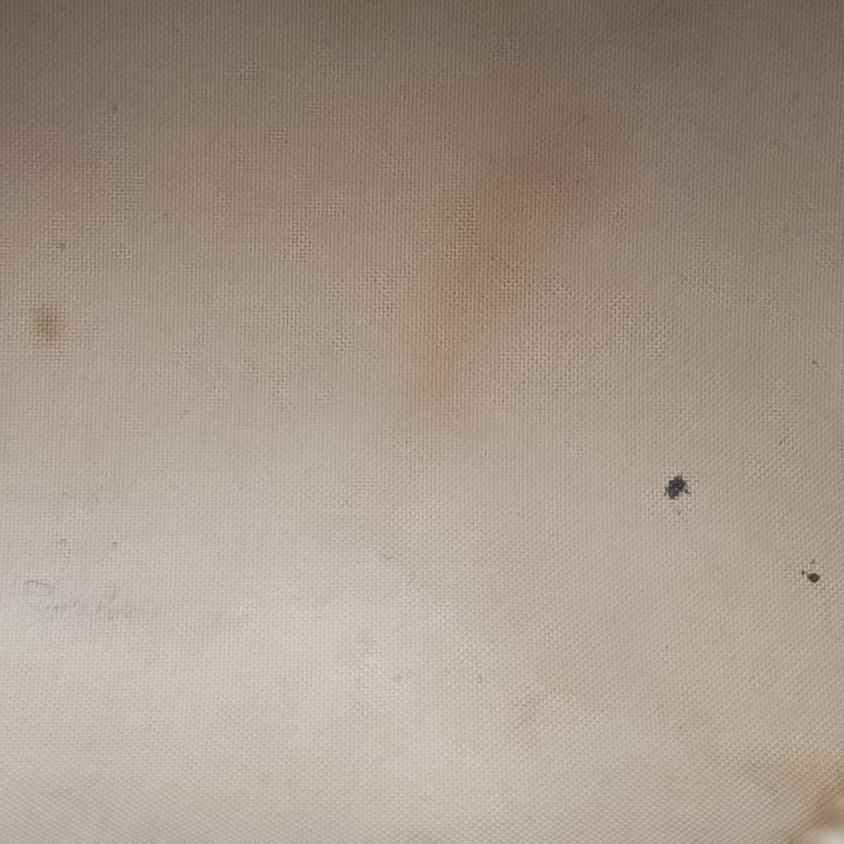 Speedy 30 AZUR Damier Canvas N41533 MB5101スピーディ30 アズール ダミエキャンバス N41533 MB5101