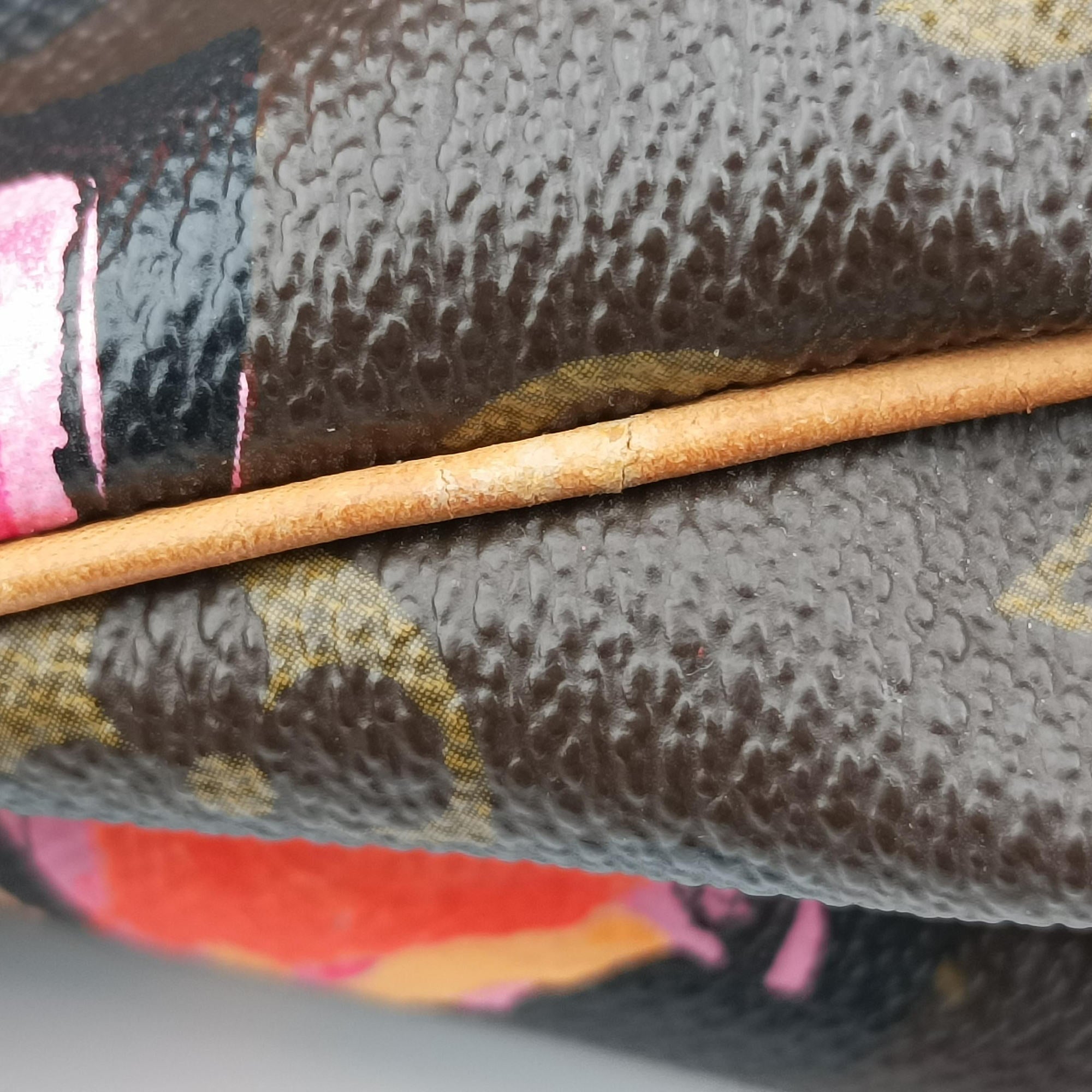 SPEEDY30 brown×Multicolor Monogram Canvas M48610 SP4068スピーディ30 モノグラム/ブラウン×マルチカラー モノグラムキャンバス M48610 SP4068