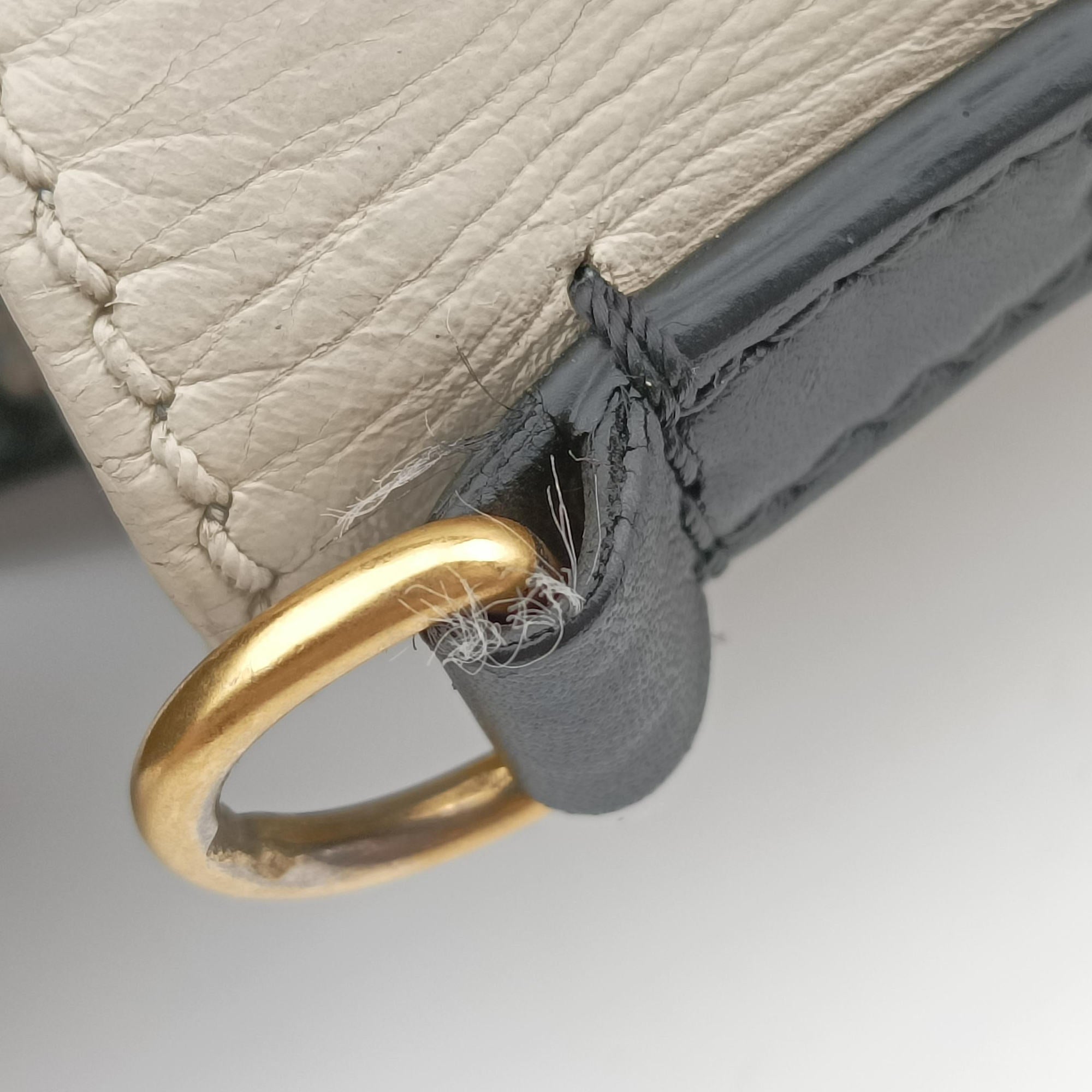 luggage nano shopper Multicolour Leather W-ZP-0191ラゲージナノショッパー マルチカラー レザー W-ZP-0191