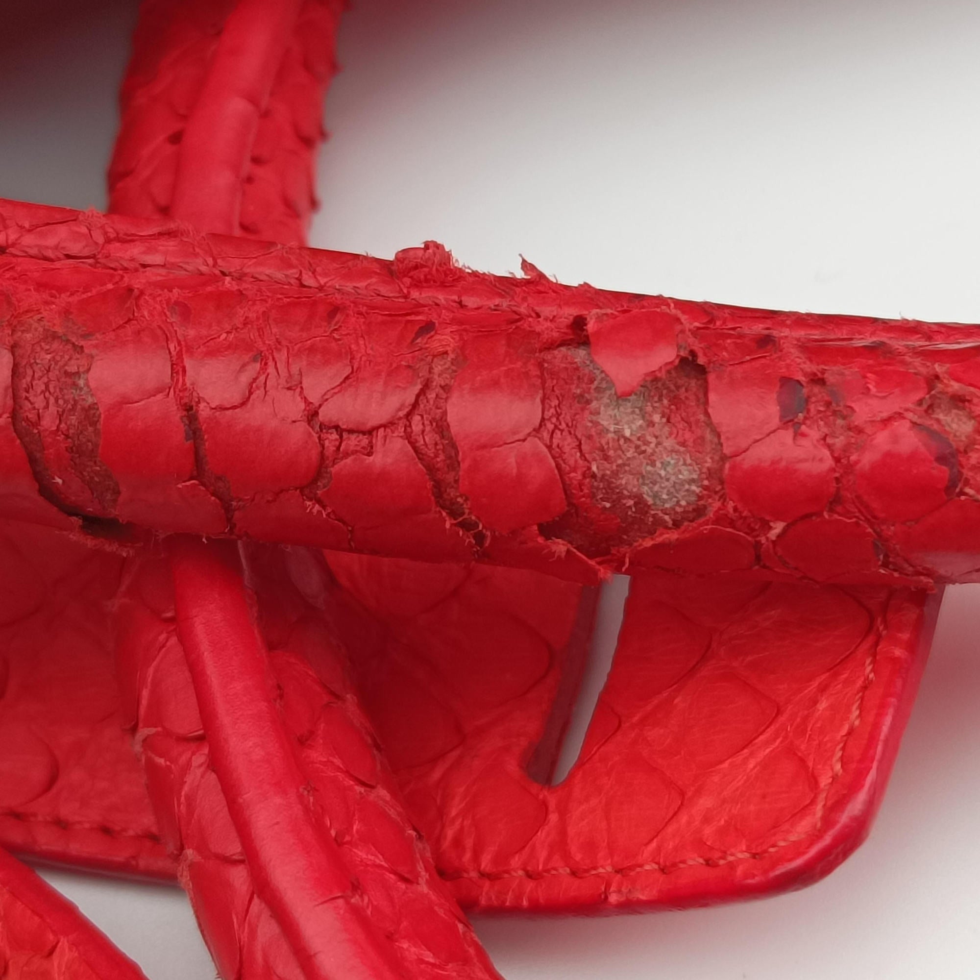 Phantom Luggage Python Red snakeskin W-PA-0163ファントム ラゲージ パイソン レッド ヘビ革 W-PA-0163
