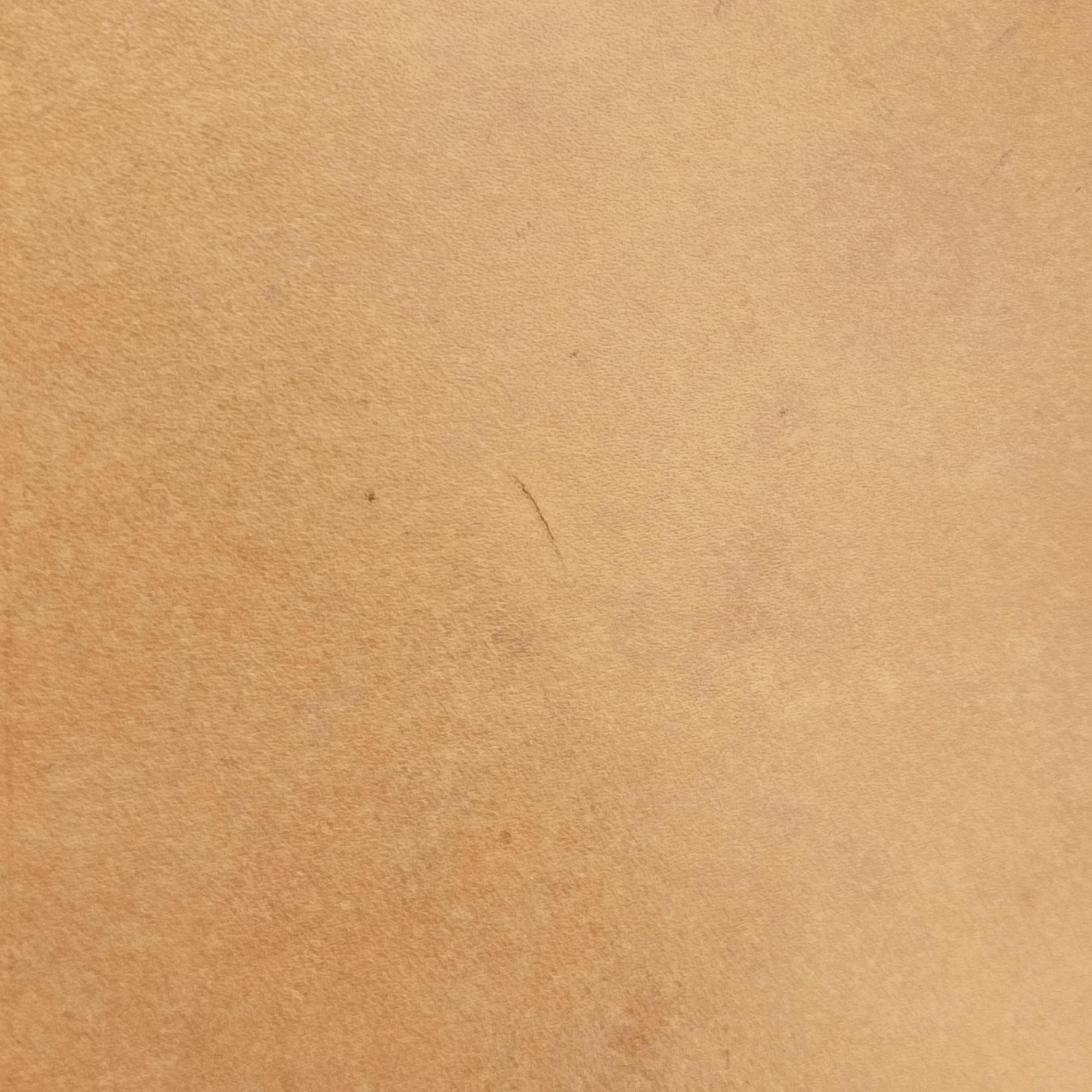 Noe Brown Monogram Canvas M42224 AR2038ノエ モノグラム/ブラウン モノグラムキャンバス M42224 AR2038