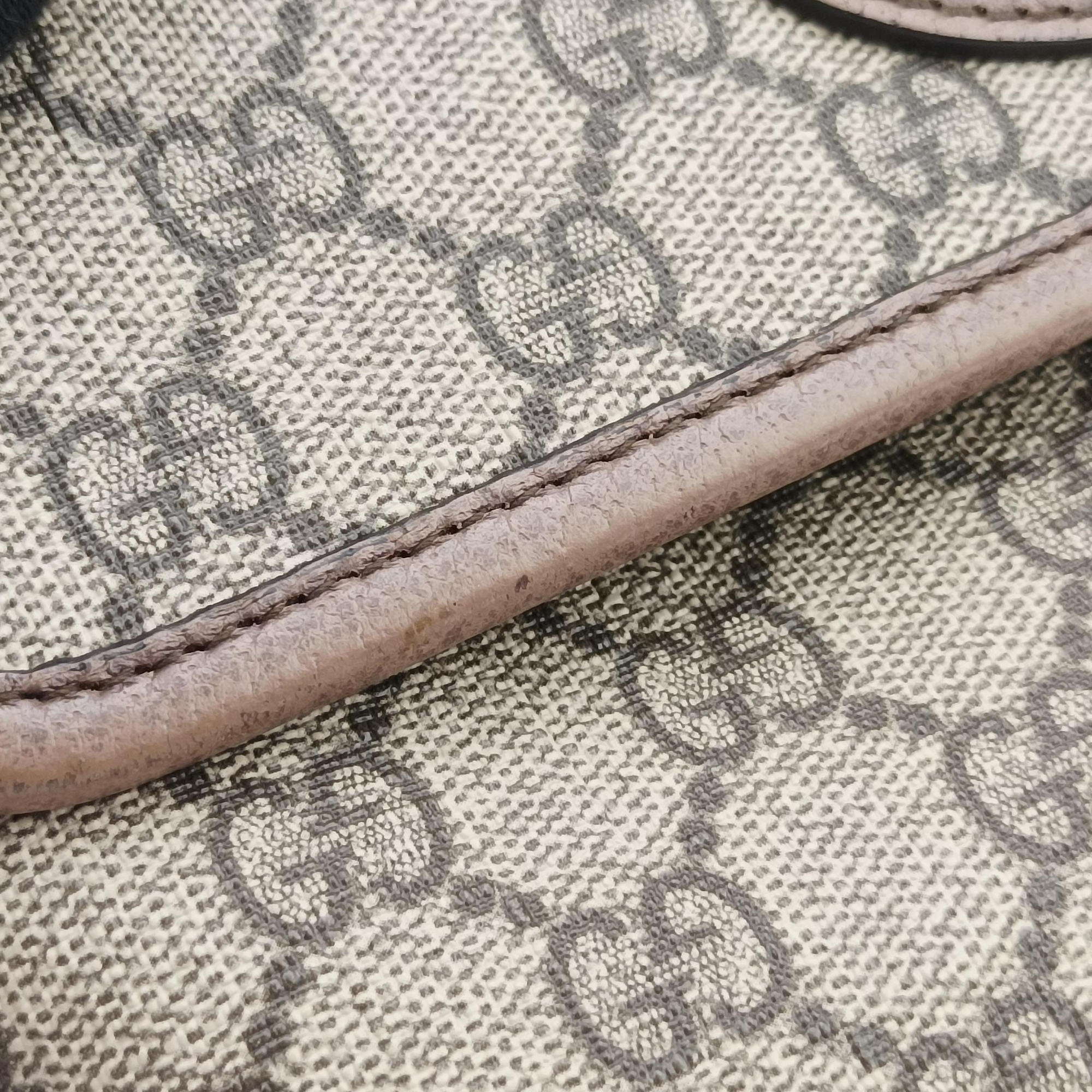 NEO VINTAGE GG Supreme beige×Brown PVC coated canvas×Leather 493930 Lot number unknownネオ ヴィンテージ GGスプリーム ベージュ×ブラウン PVCコーティングキャンバス×レザー 493930 製番不明