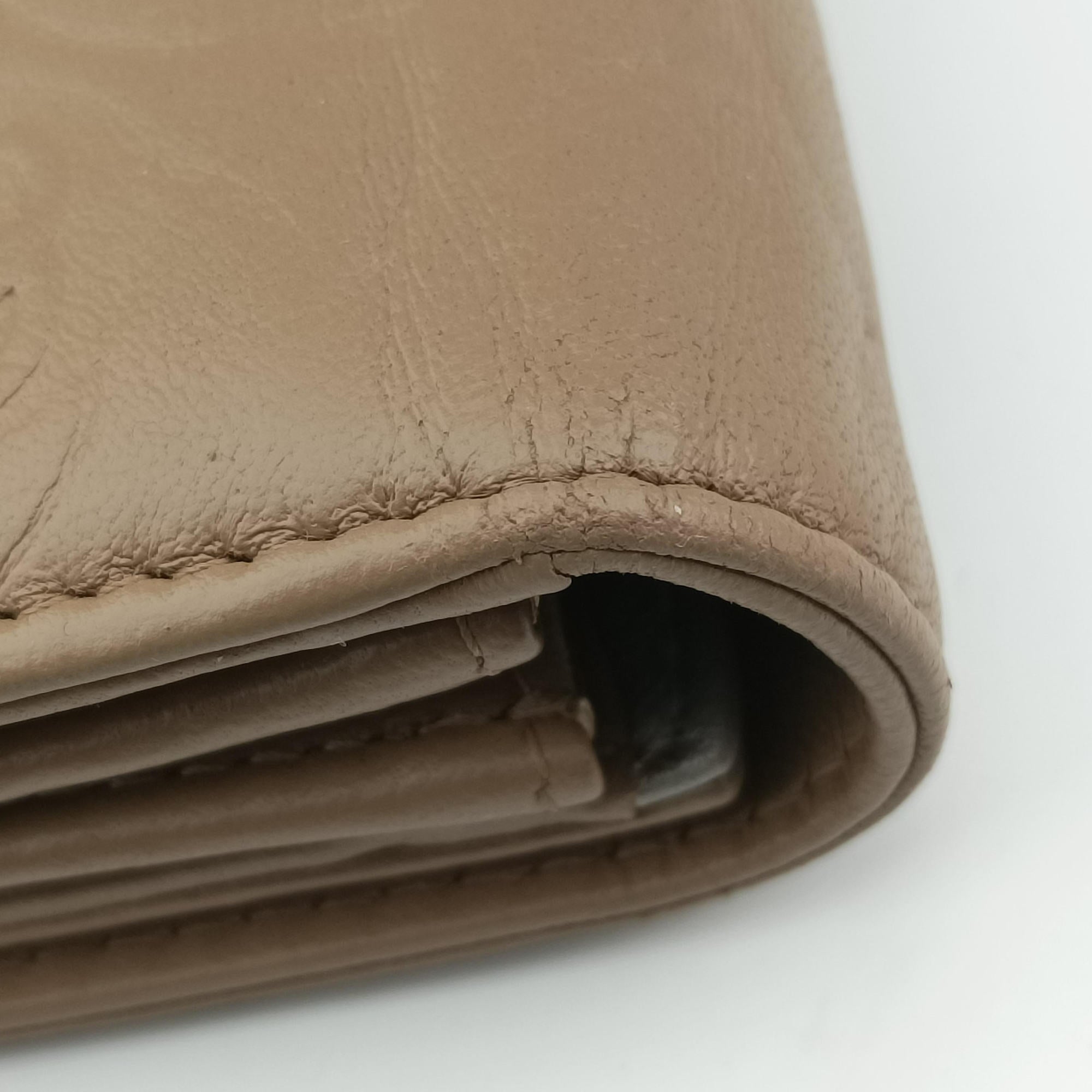camellia Camel lambskin A50084 17799319カメリア キャメル ラムスキン A50084 17799319