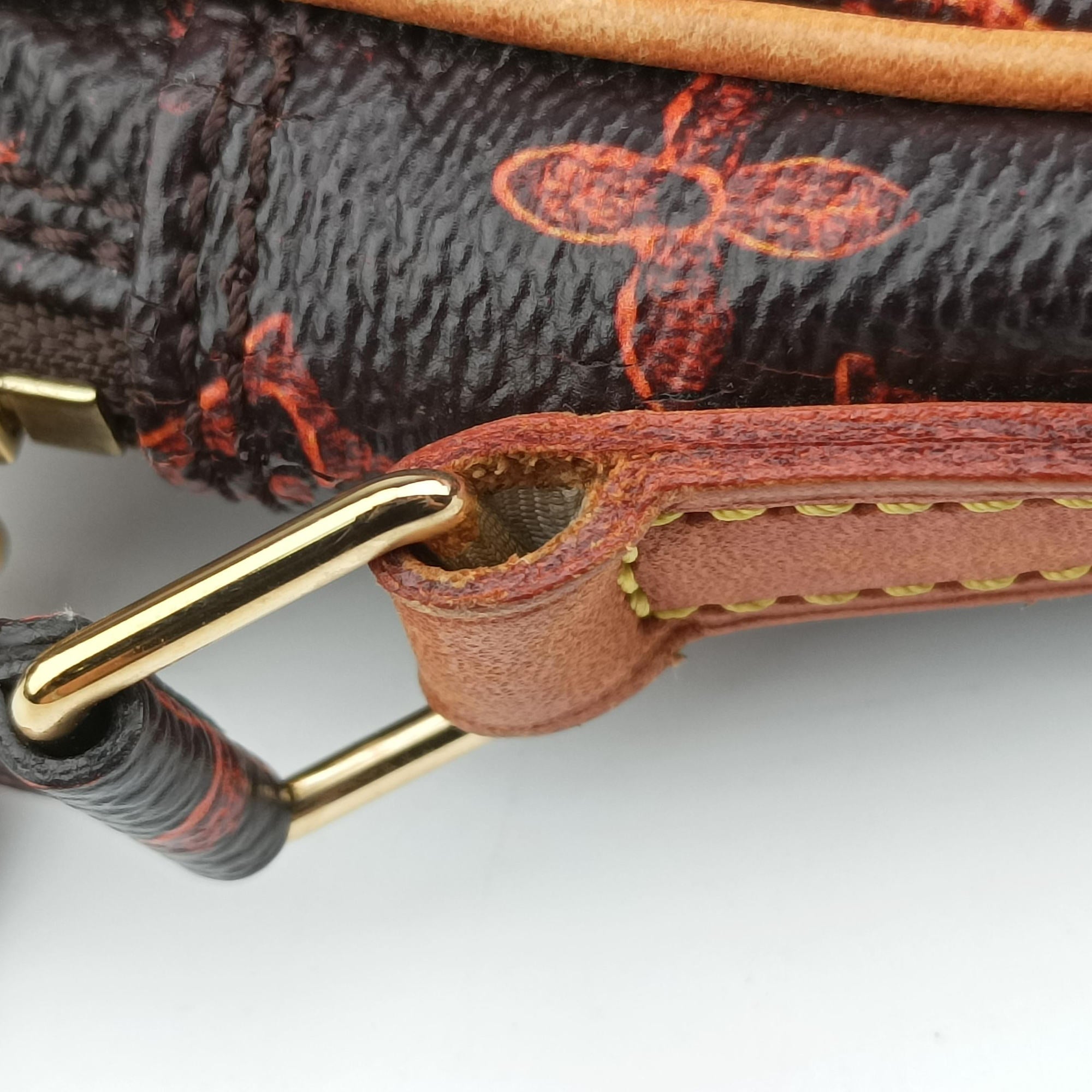 Catgram Panam Set brown×Multicolour Monogram canvas M44399 RI5118キャットグラム パナム モノグラム/ブラウン×マルチカラー モノグラムキャンバス M44399 RI5118