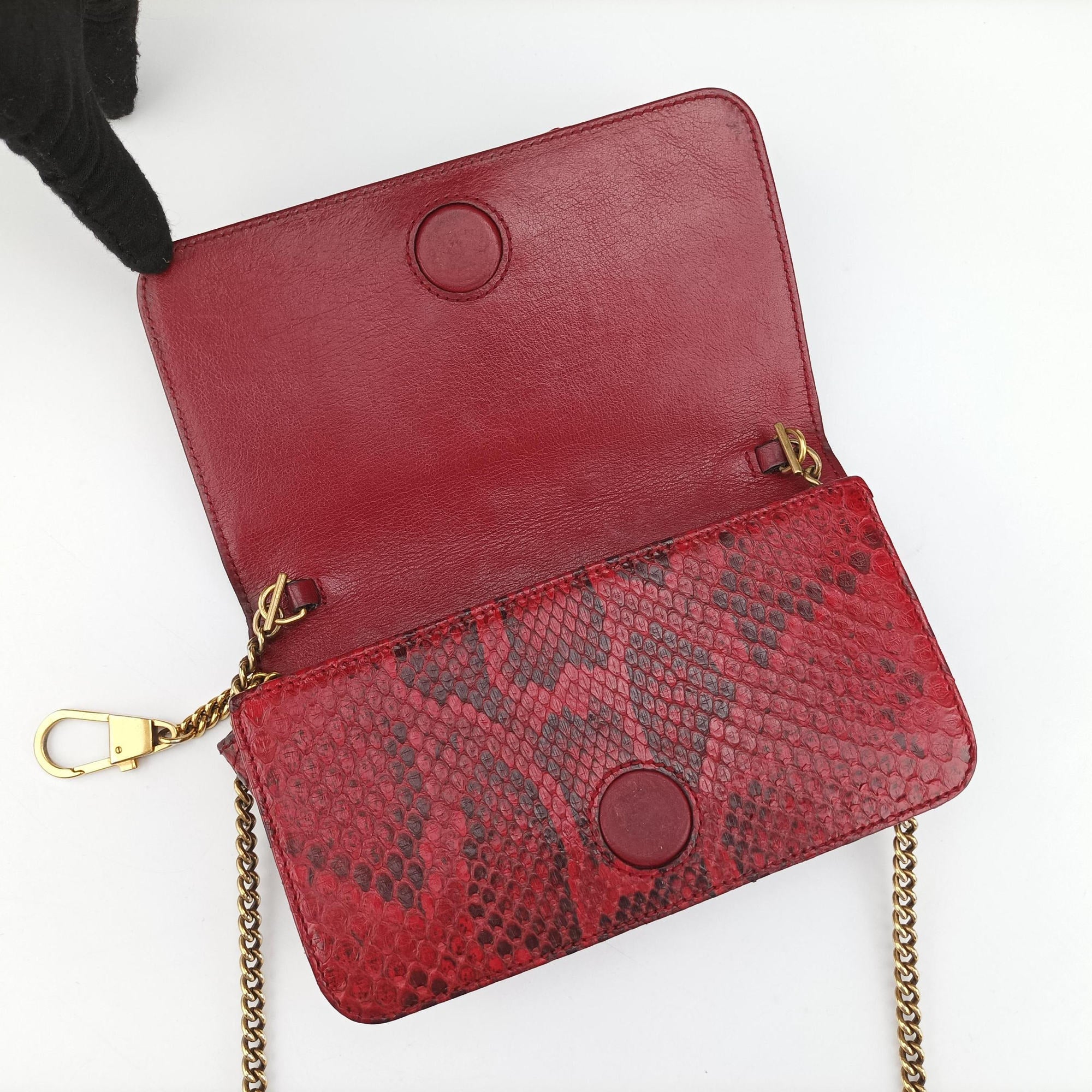 GG Marmont Red snakeskin 488426 GGマーモント レッド ヘビ革 488426