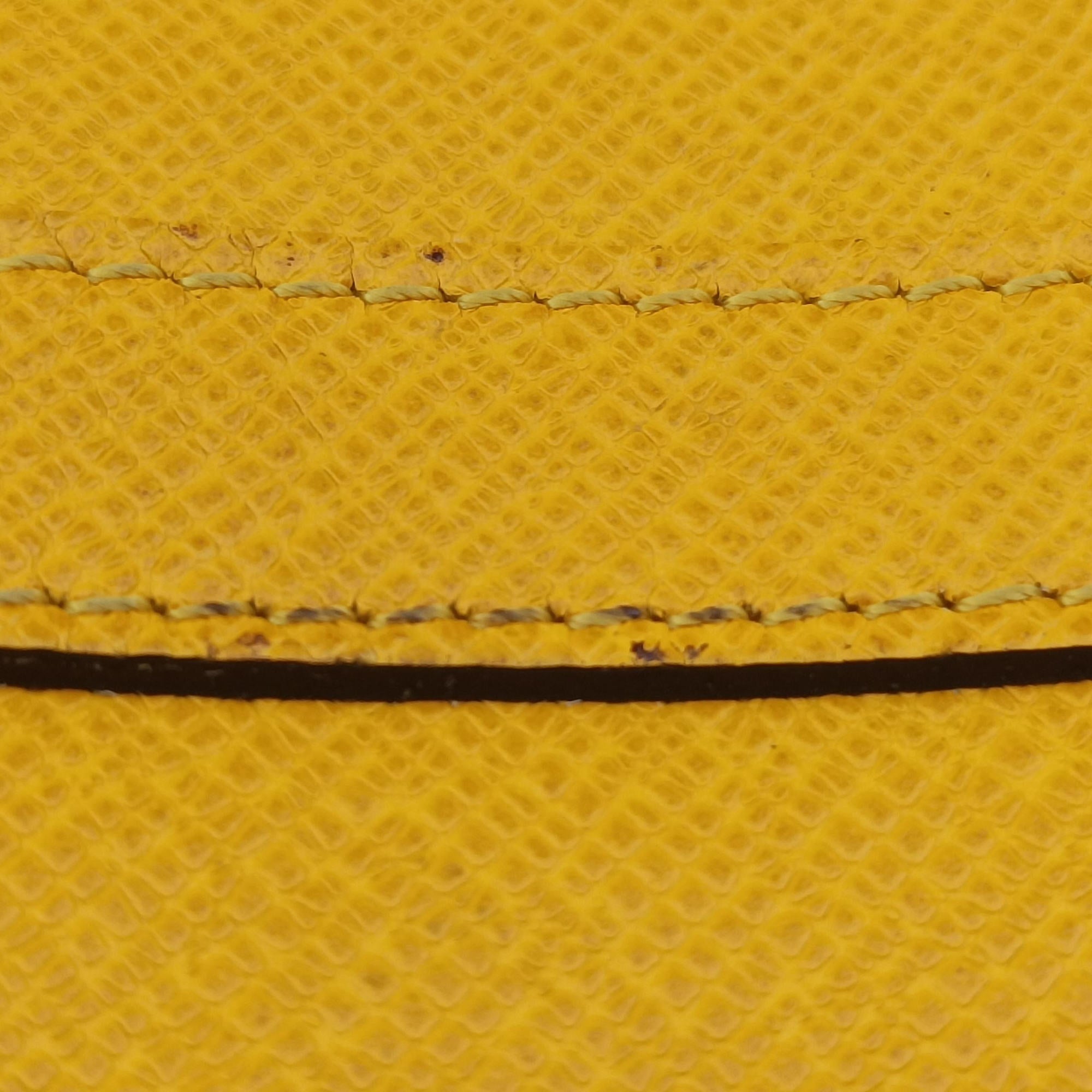 Porte Documents Voyage Jaune Taiga M30636 FL0166PDV ポルトドキュマン ヴォワヤージュ ジョーヌ タイガ M30636 FL0166