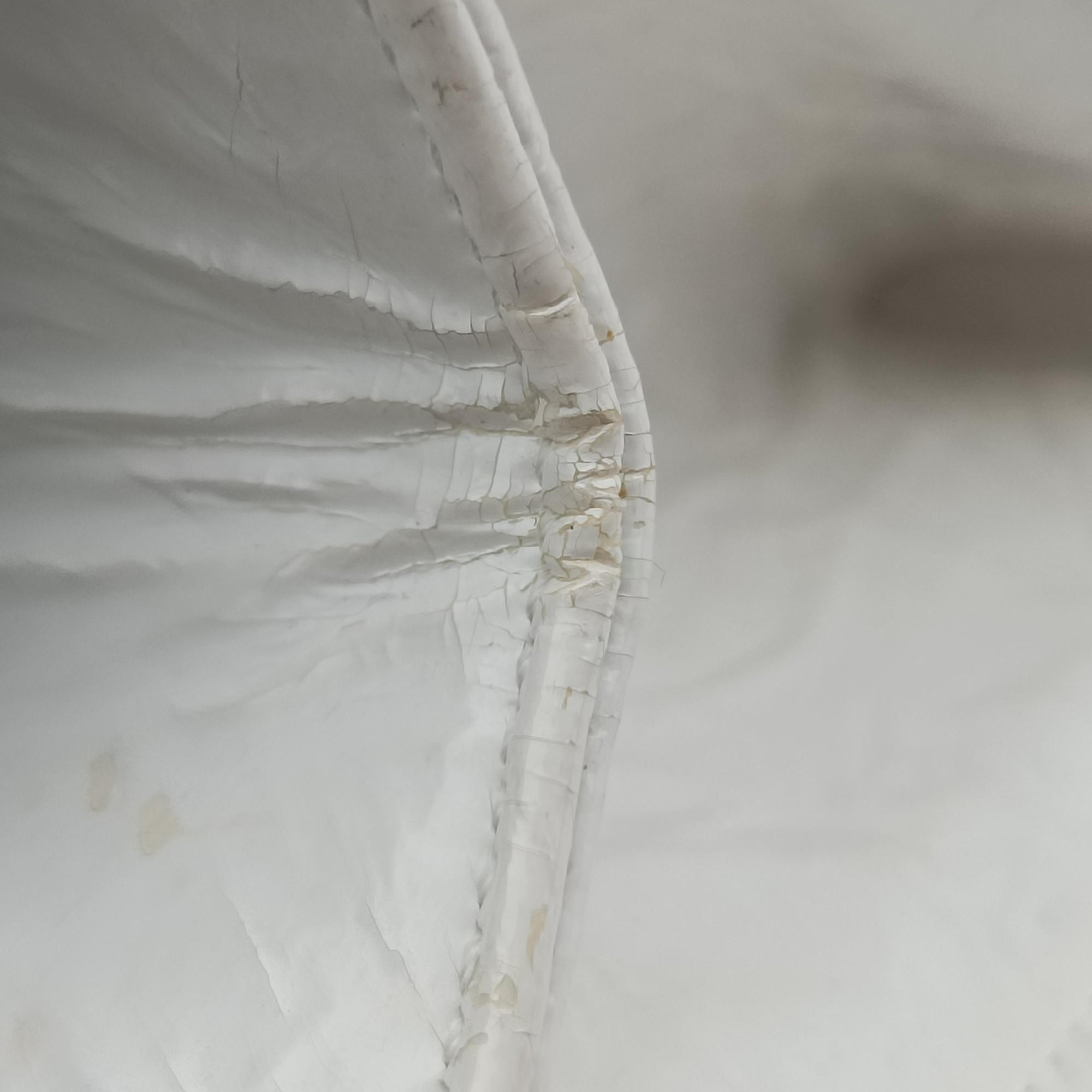 Diorama White Leather 13-BO-0117ディオラマ ホワイト レザー 13-BO-0117