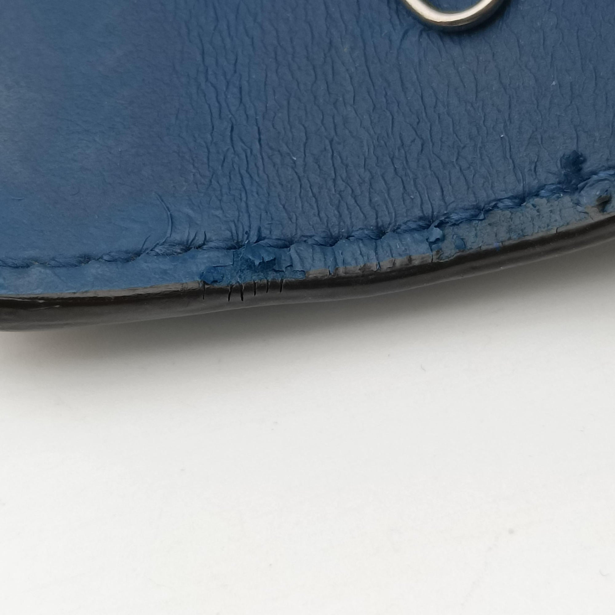 Dionysus Multicolour PVC coated canvasxLeather 404141 ディオニュソス マルチカラー PVCコーティングキャンバスxレザー 404141
