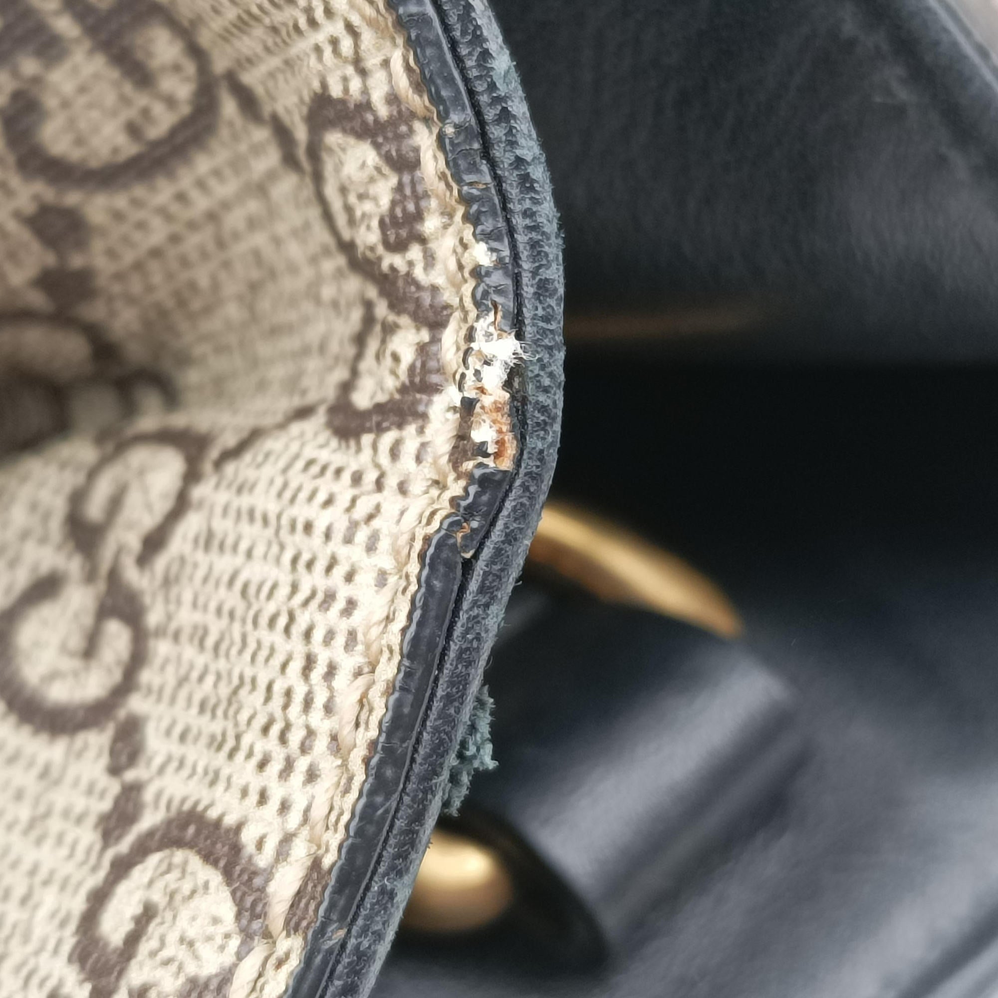 GG Supreme Bee Brown PVC coated canvas 450950 D021957137GGスプリーム キングスネーク ブラウン PVCコーティングキャンバス 450950 D021957137