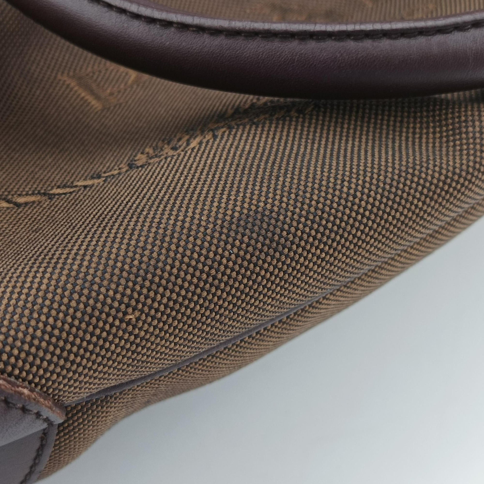 Vitello Daino Trimmed Canapa Logo Frame Brown Fabric × leather BR3508 25ヴィッテロ ダイノ トリム カナパ ロゴ フレーム ブラウン ファブリック×レザー BR3508 25