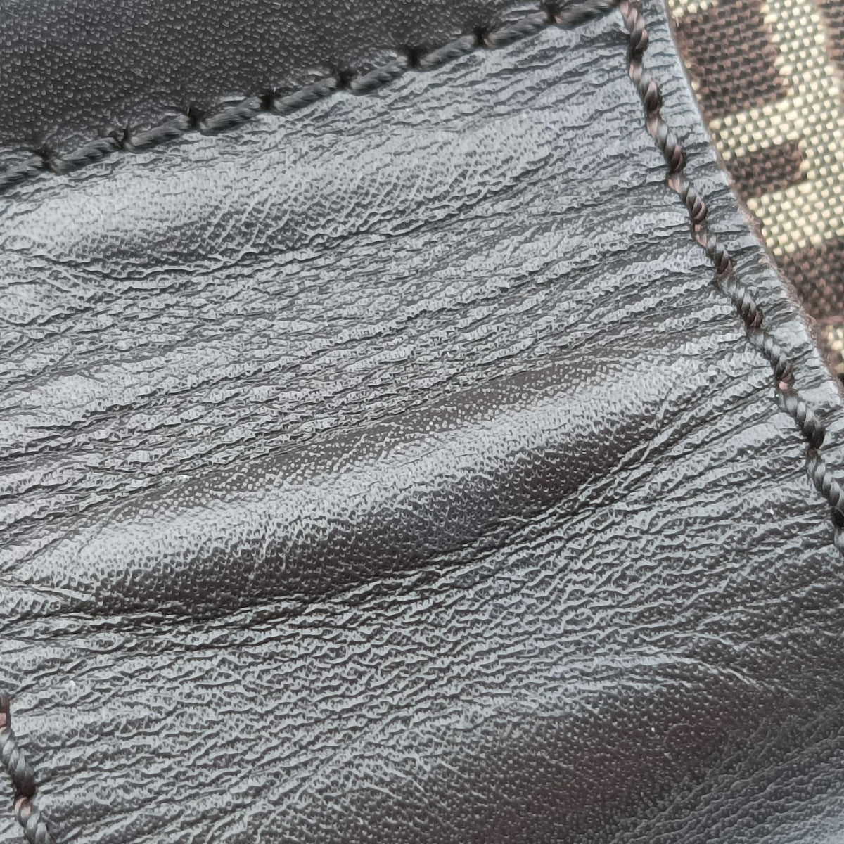 Zucchino Brown Canvas 8BR036 2354/8BR036/JQ4/039ズッキーノ柄 ブラウン キャンバス 8BR036 2354/8BR036/JQ4/039