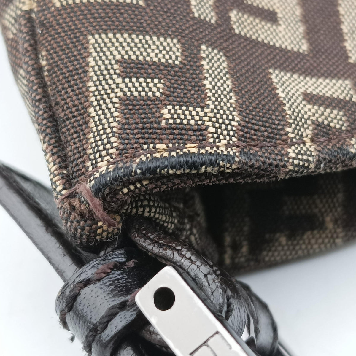Zucchino Brown Canvas 8BR036 2354/8BR036/JQ4/039ズッキーノ柄 ブラウン キャンバス 8BR036 2354/8BR036/JQ4/039