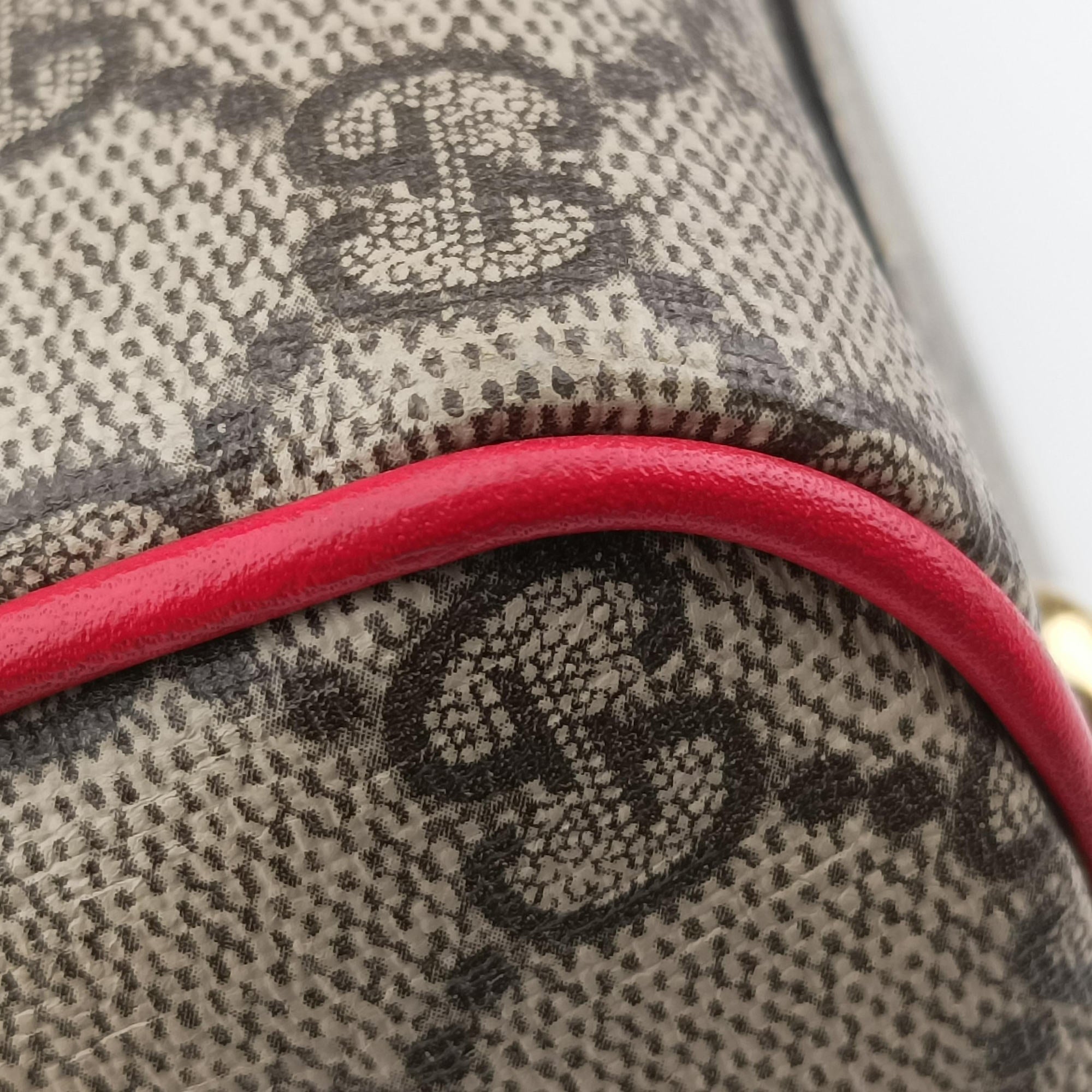 GG SUPREME Beige×Multicolour PVC coated canvas×Leather 409529 I021536220GGスプリーム ベージュ×マルチカラー PVCコーティングキャンバス×レザー 409529 I021536220