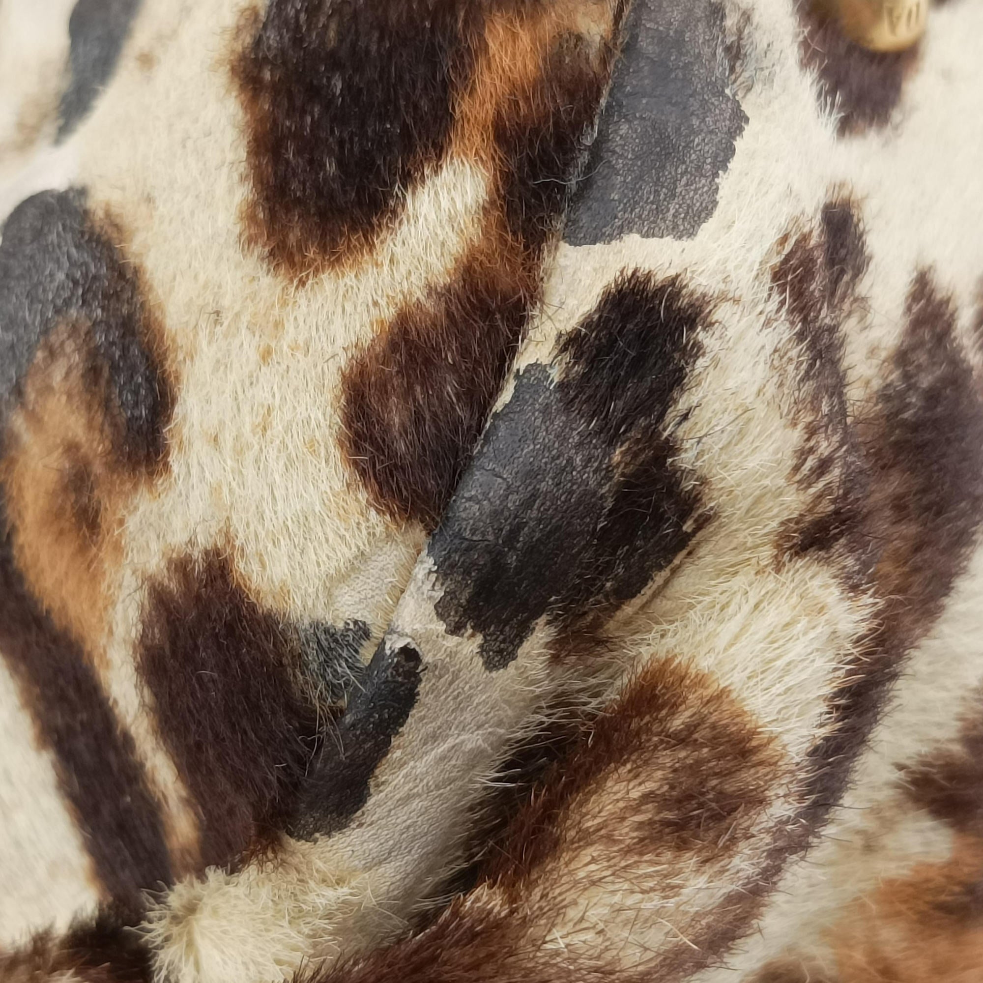 Leopard print Multicolour ponyhair 31 1ヒョウ柄レオバード マルチカラー ハラコ 31 1