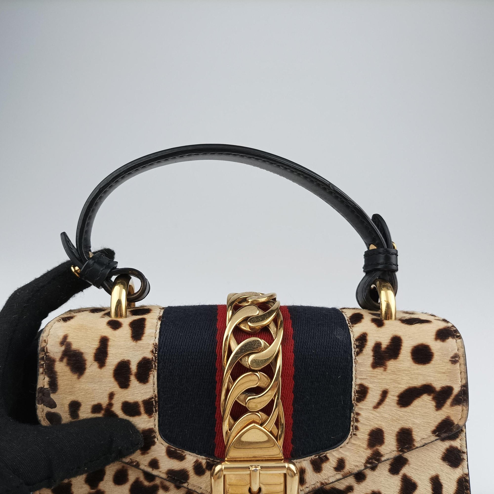 Sylvie Multicolour ponyhair×Leather 470270 A022338808シルヴィ マルチカラー ハラコ×レザー 470270 A022338808