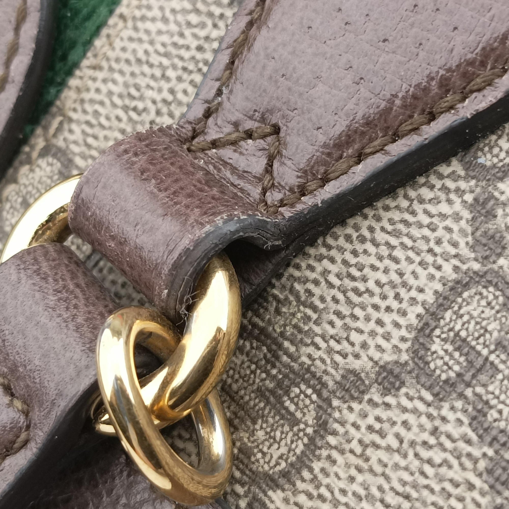 OPHIDIA Beige×Brown×Red×Green PVC coated canvas×Leather 524537 C026468528オフィディア ベージュ×ブラウン×レッド×グリーン PVCコーティングキャンバス×レザー 524537 C026468528