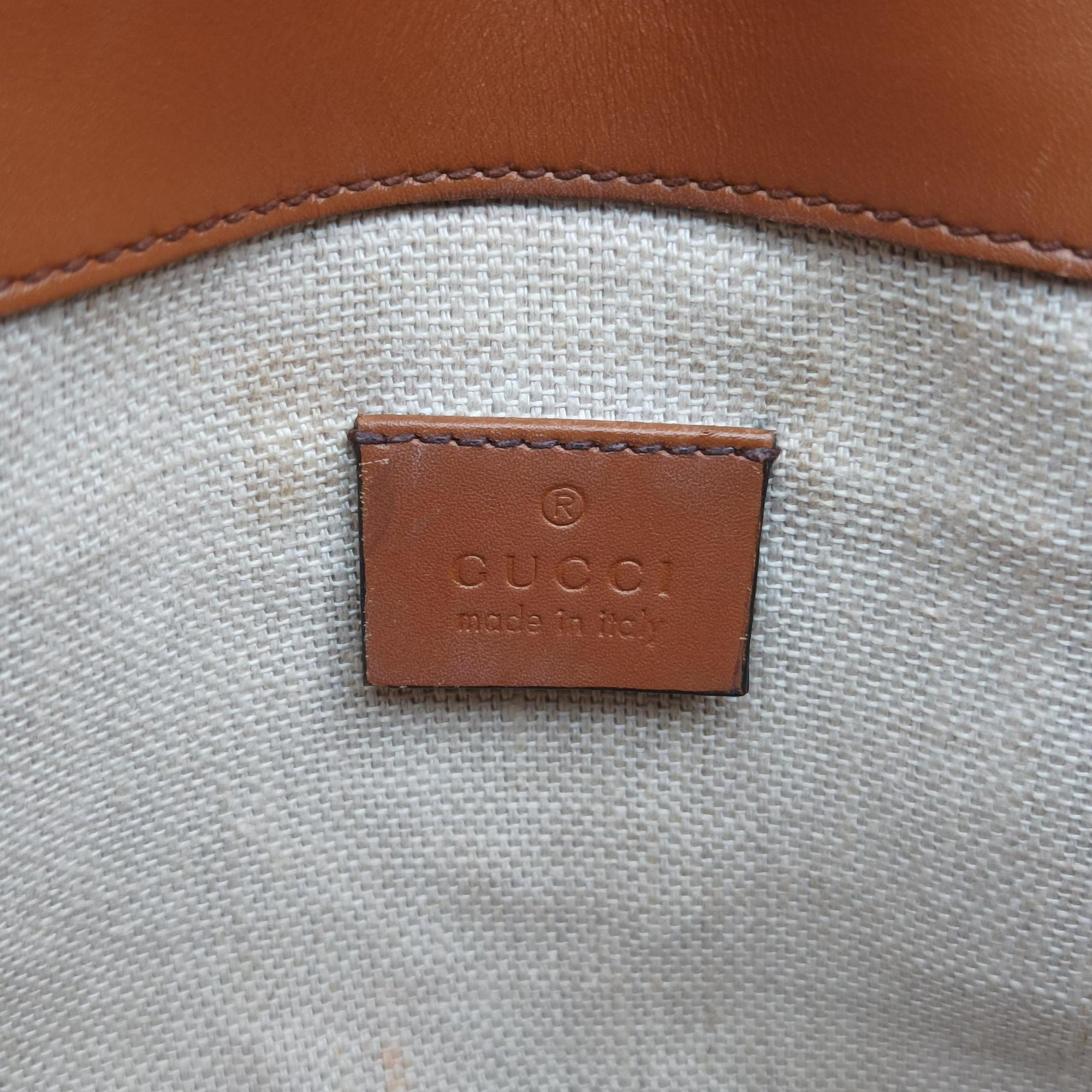 Lady Web Brown canvas×leather 384821 D019192009レディ ウェブ ブラウン キャンバス x レザー 384821 D019192009