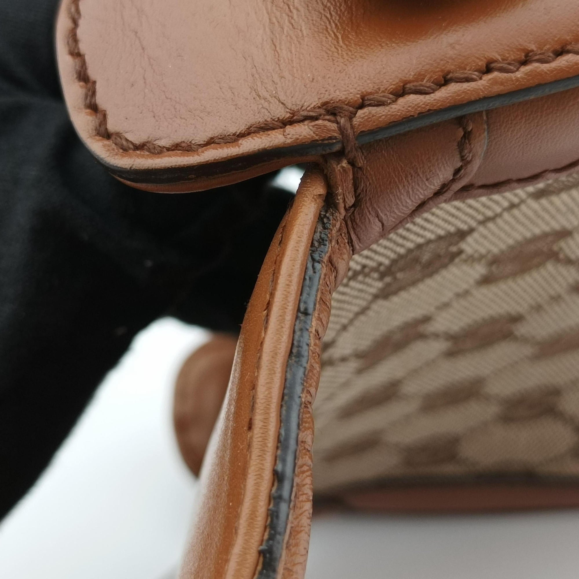 Lady Web Brown canvas×leather 384821 D019192009レディ ウェブ ブラウン キャンバス x レザー 384821 D019192009