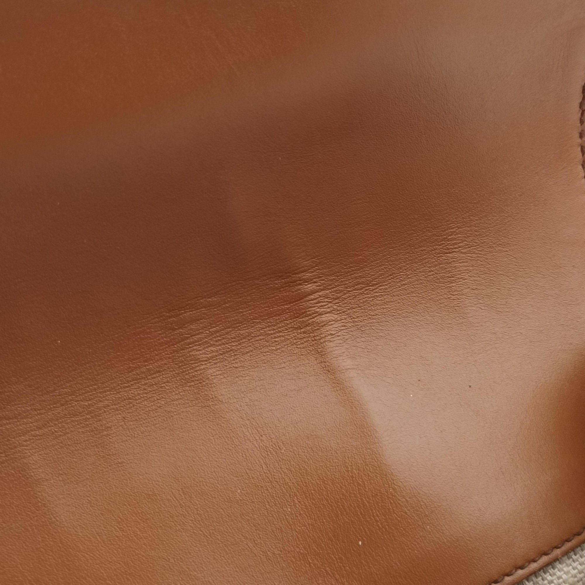 Lady Web Brown canvas×leather 384821 D019192009レディ ウェブ ブラウン キャンバス x レザー 384821 D019192009