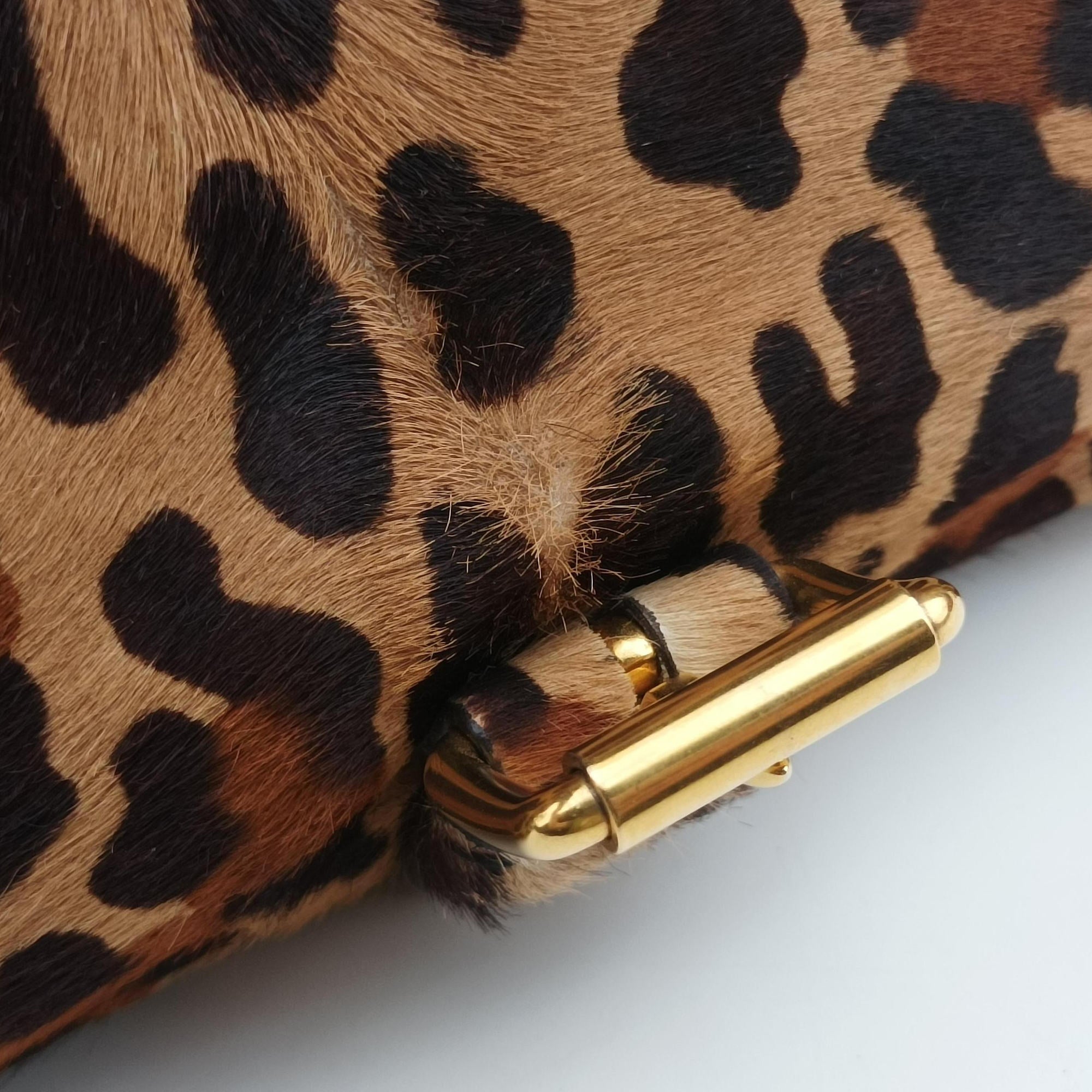 Leopard Print Brown×Multicolour ponyhair 123レオパード プリント ブラウン×マルチカラー ハラコ 123
