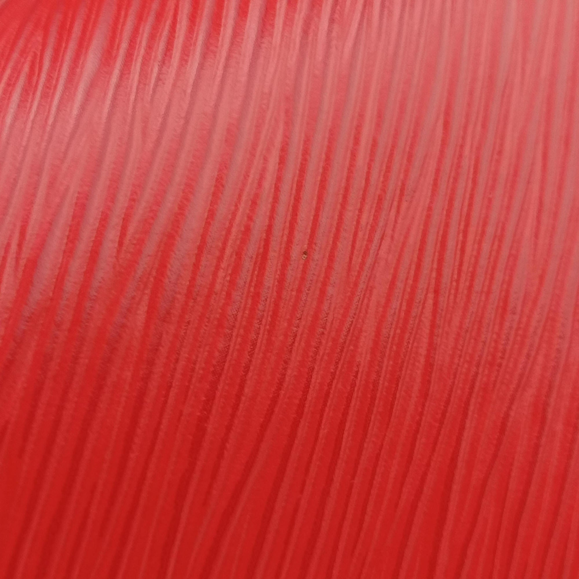 Saint Cloud Coquelicot Epi M54156 FL1127サンクルー コクリコ エピ M54156 FL1127
