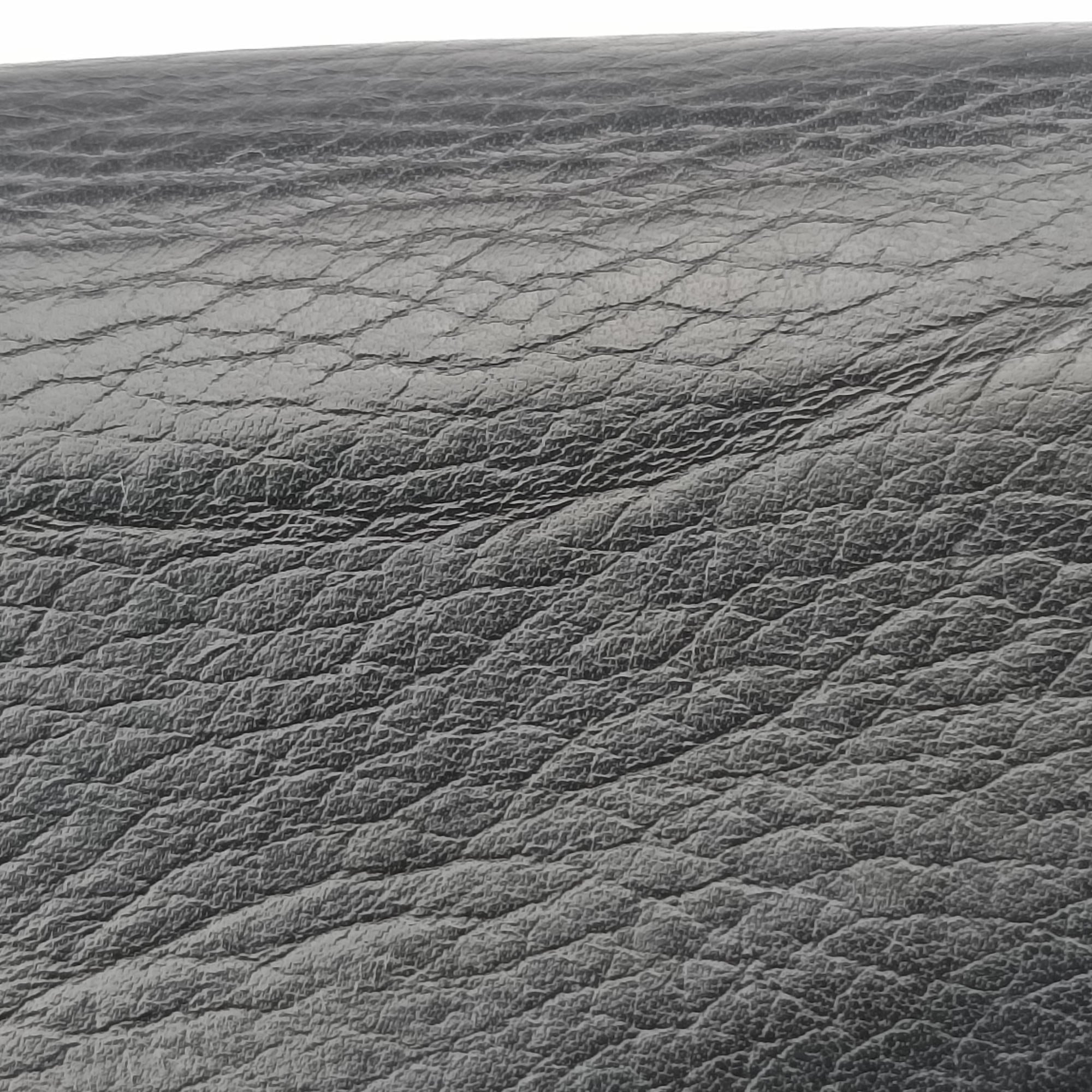 Dionysus Black Leather 401231 ディオニュソス ブラック レザー 401231