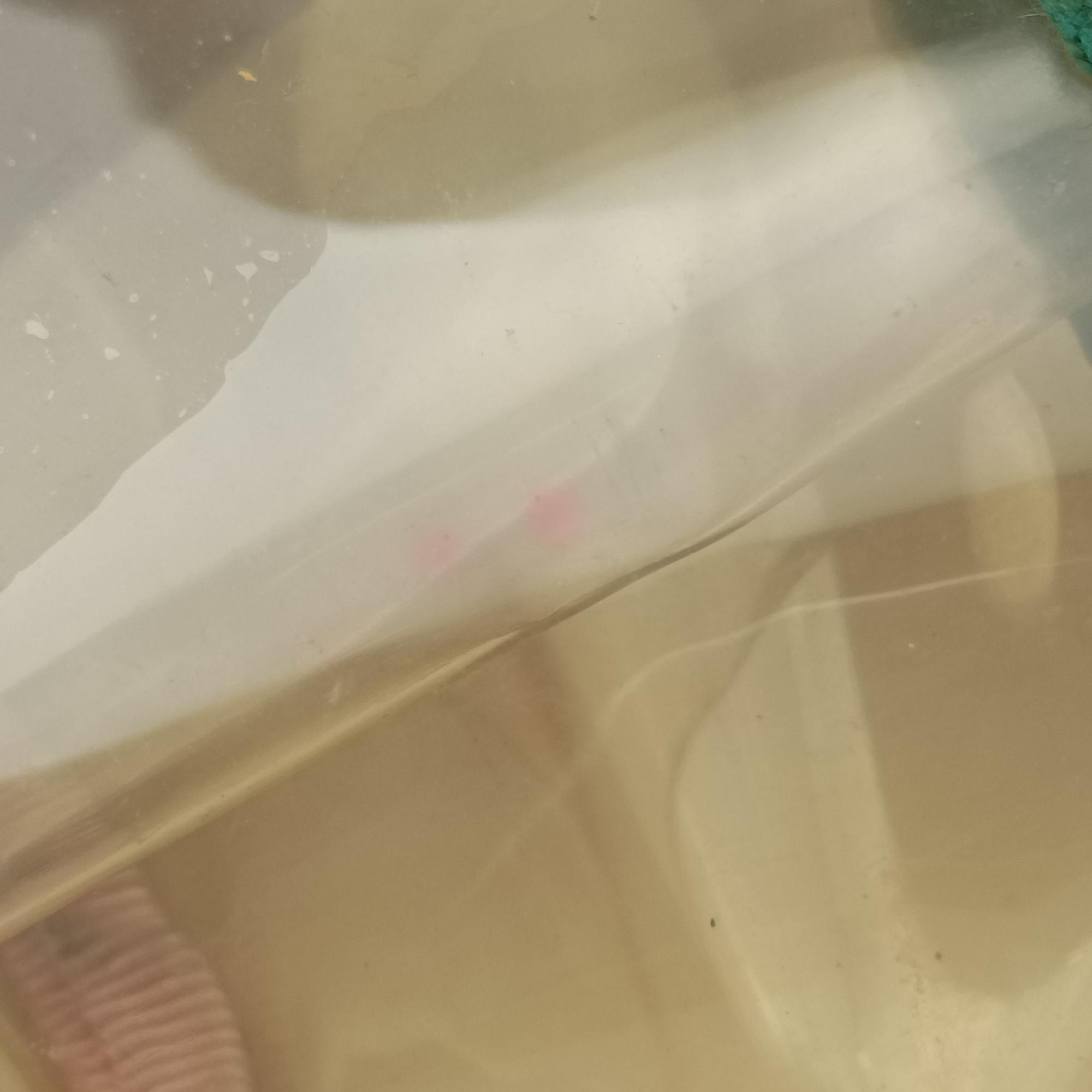 OPHIDIA Pink×Transparent PVC coated canvas 517350 オフィディア ピンク×クリア PVCコーティングキャンバス 517350