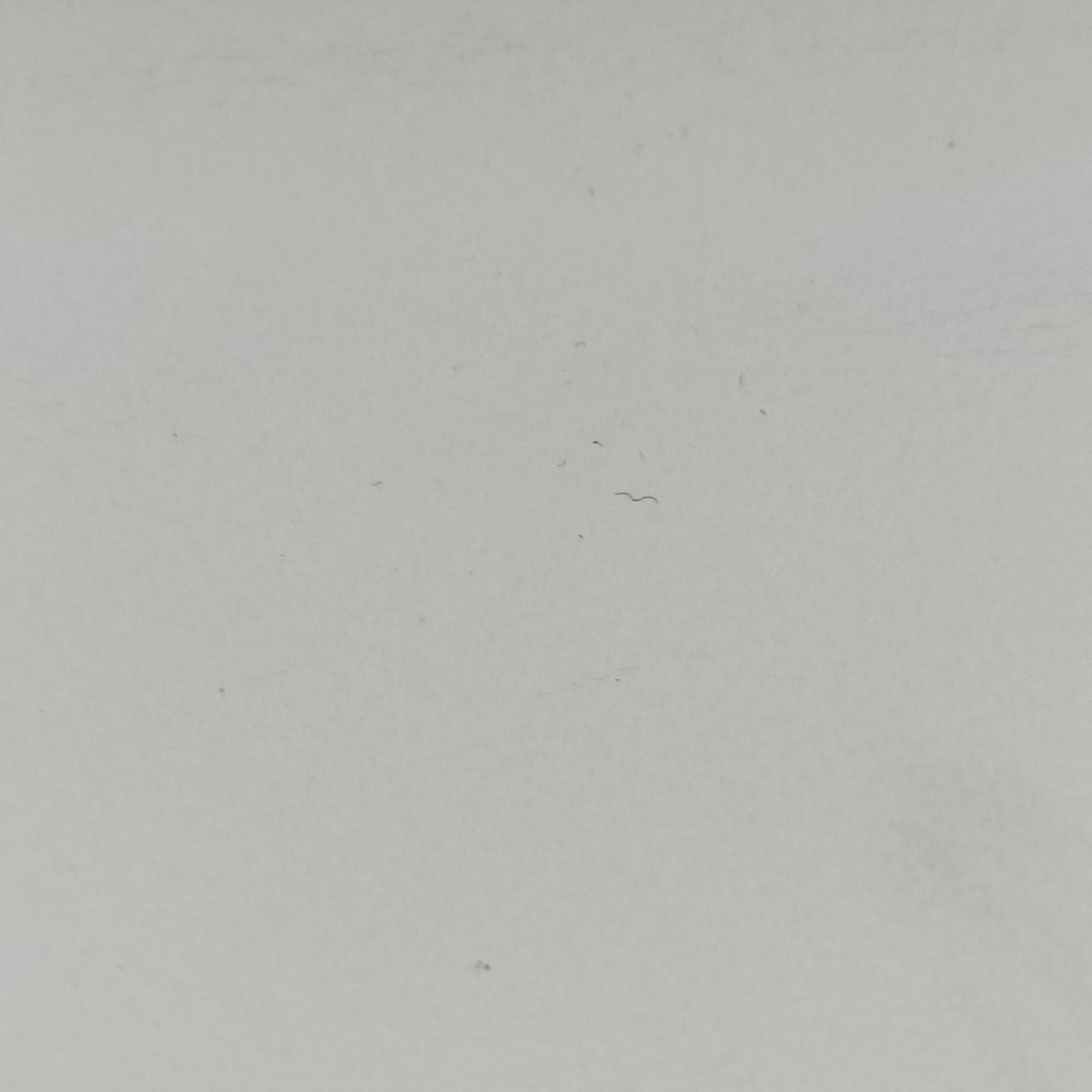 Broadway Pearl Bee White Leather 453778 E022493274ブロードウェイ パール ビー ホワイト レザー 453778 E022493274