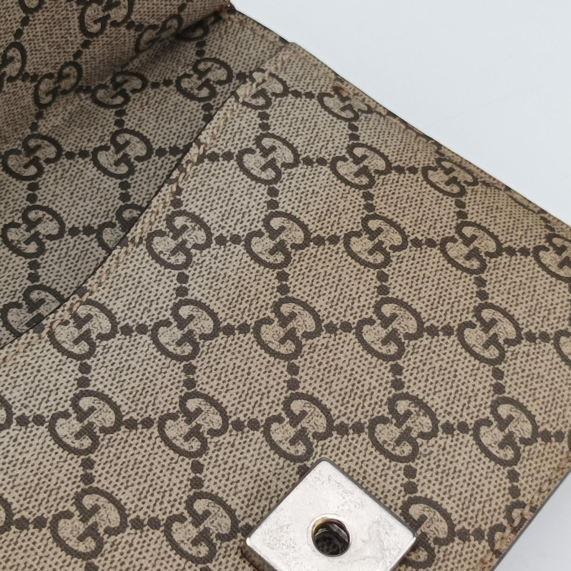 Dionysus Multicolour PVC coated canvas 421970 C023651224ディオニュソス マルチカラー PVCコーティングキャンバス 421970 C023651224