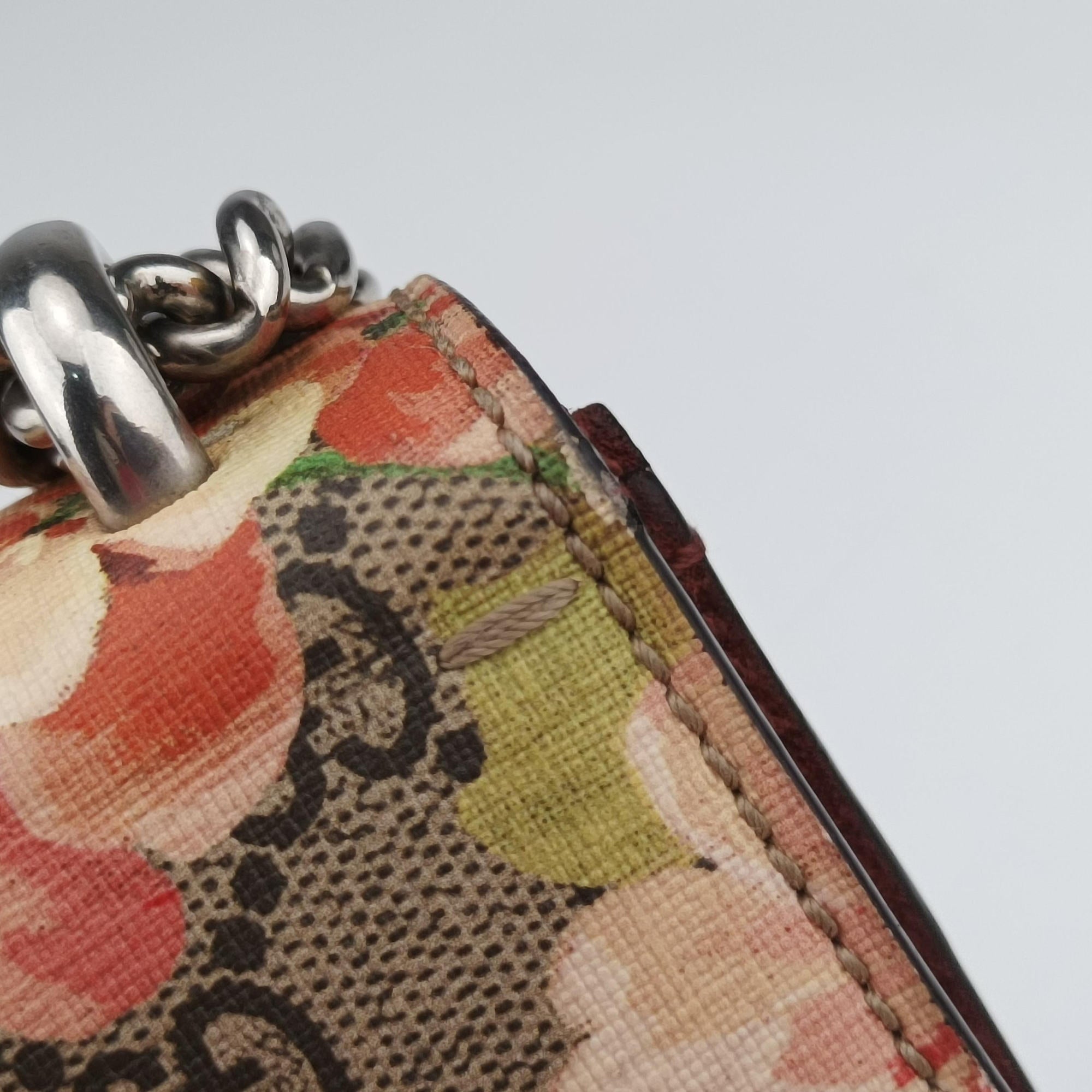 Dionysus Multicolour PVC coated canvas 421970 C023651224ディオニュソス マルチカラー PVCコーティングキャンバス 421970 C023651224