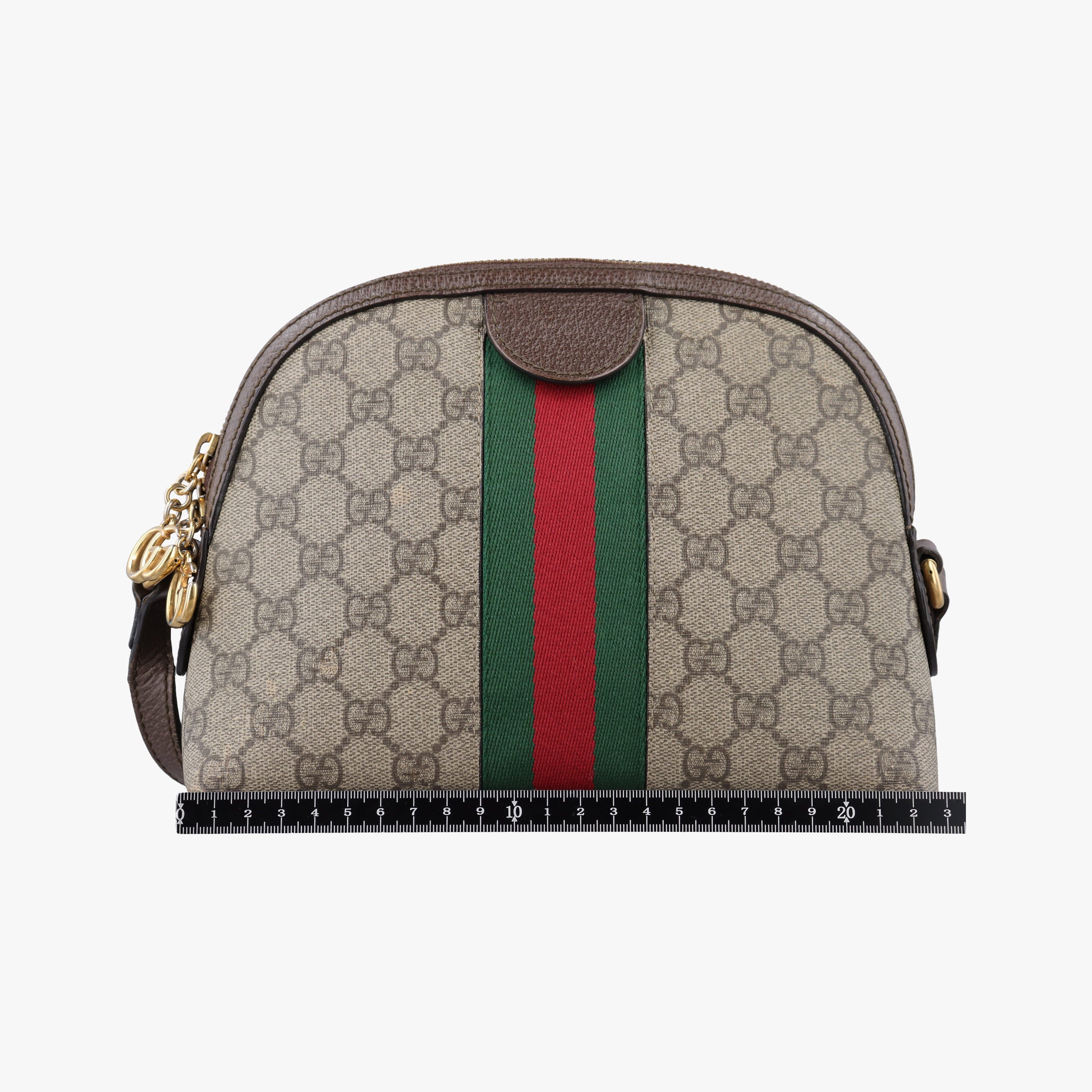 Ophidia brown×red×green PVC coated canvas×Leather 499621 E024005782オフィディア ブラウン×レッド×グリーン PVCコーティングキャンバス×レザー 499621 E024005782