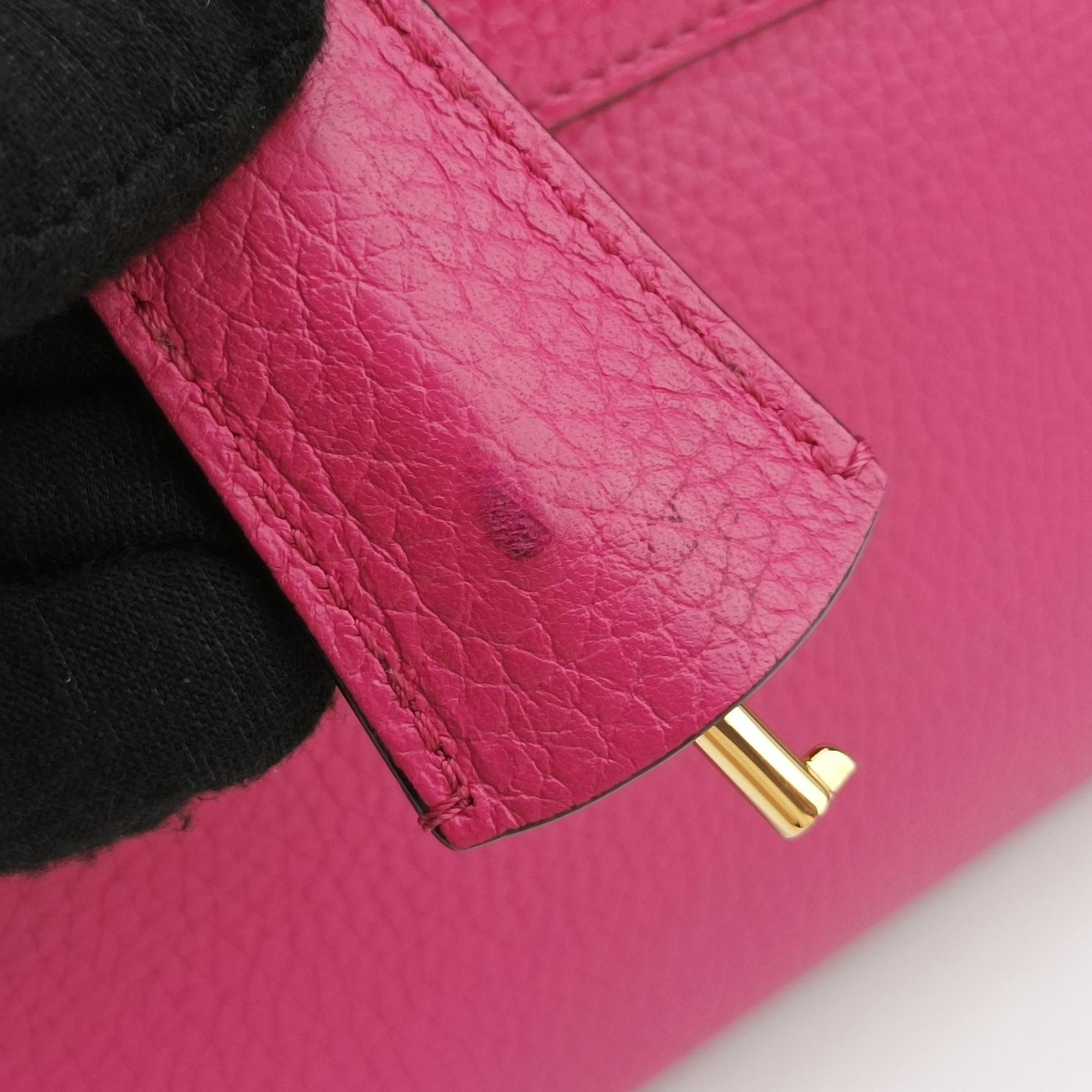 Legenne PM Rose leather B1067レジェンヌ PM ローズ レッド レザー B1067