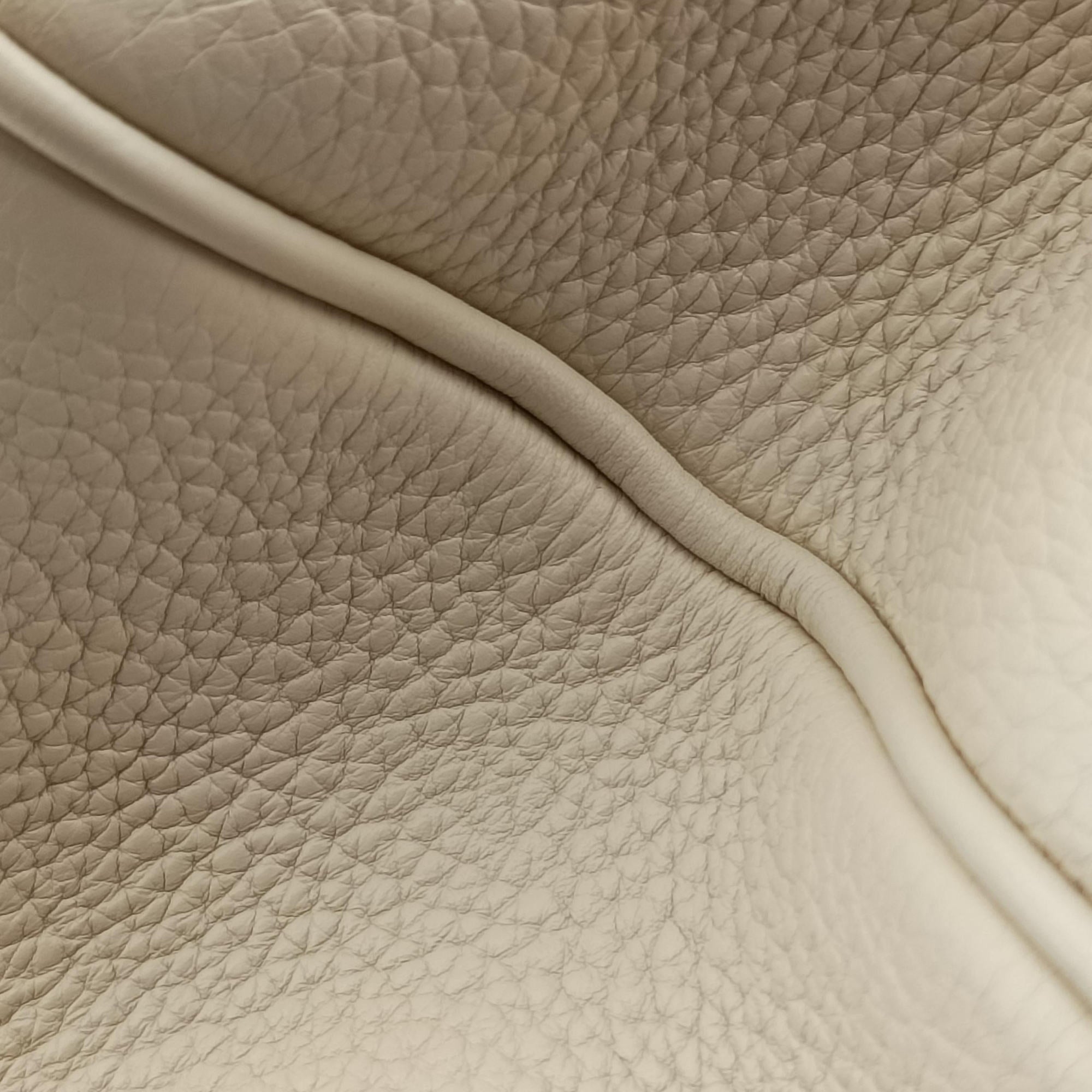 Sofia Coppola SC Bag PM Broncasse Taurillon leather M48834 MI0163ソフィア コッポラ SCバッグ PM ブロンカッセ トリヨンレザー M48834 MI0163