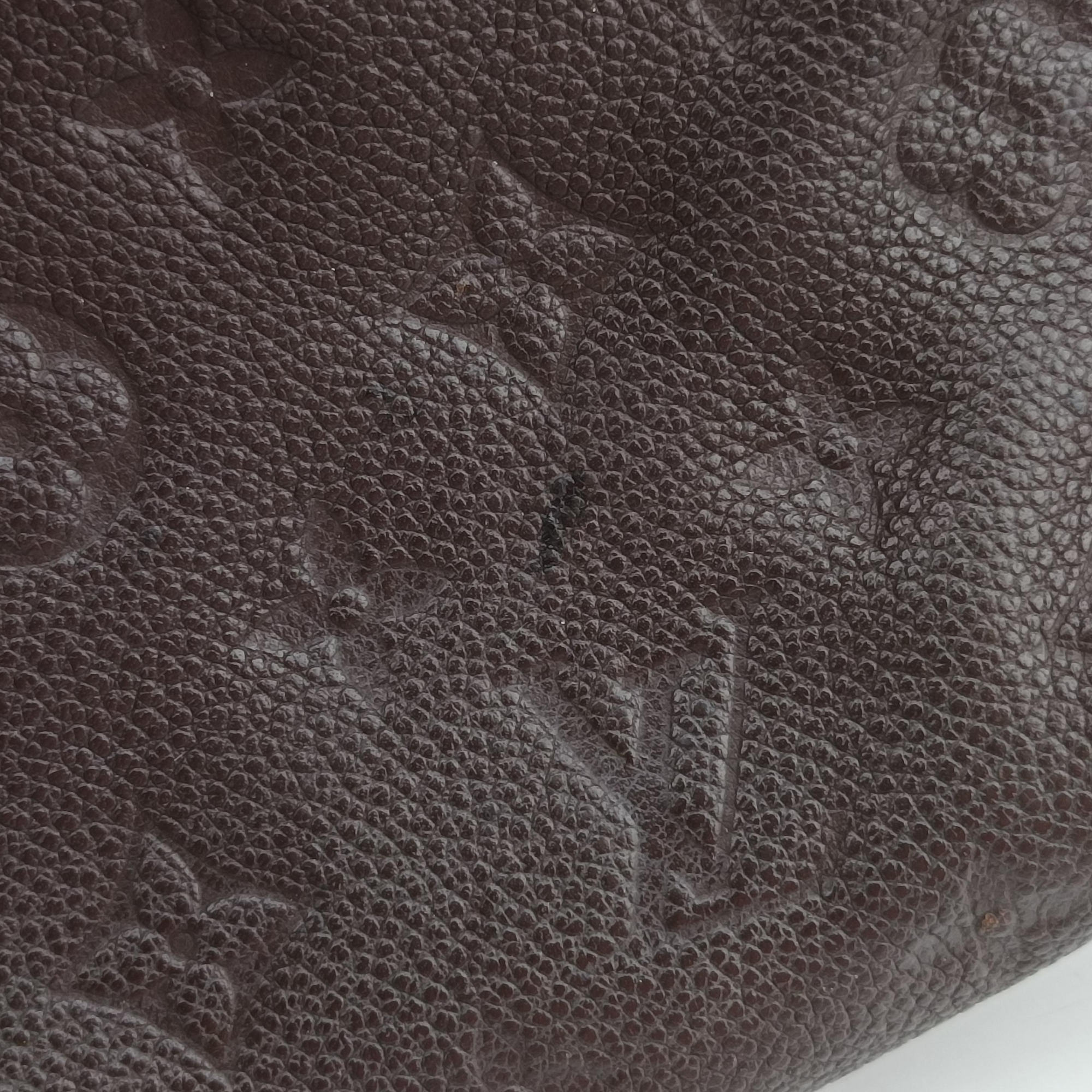 Fascinante Brown Monogram Empreinte M94226 TR4102ファシナント オーラル モノグラム アンプラント M94226 TR4102