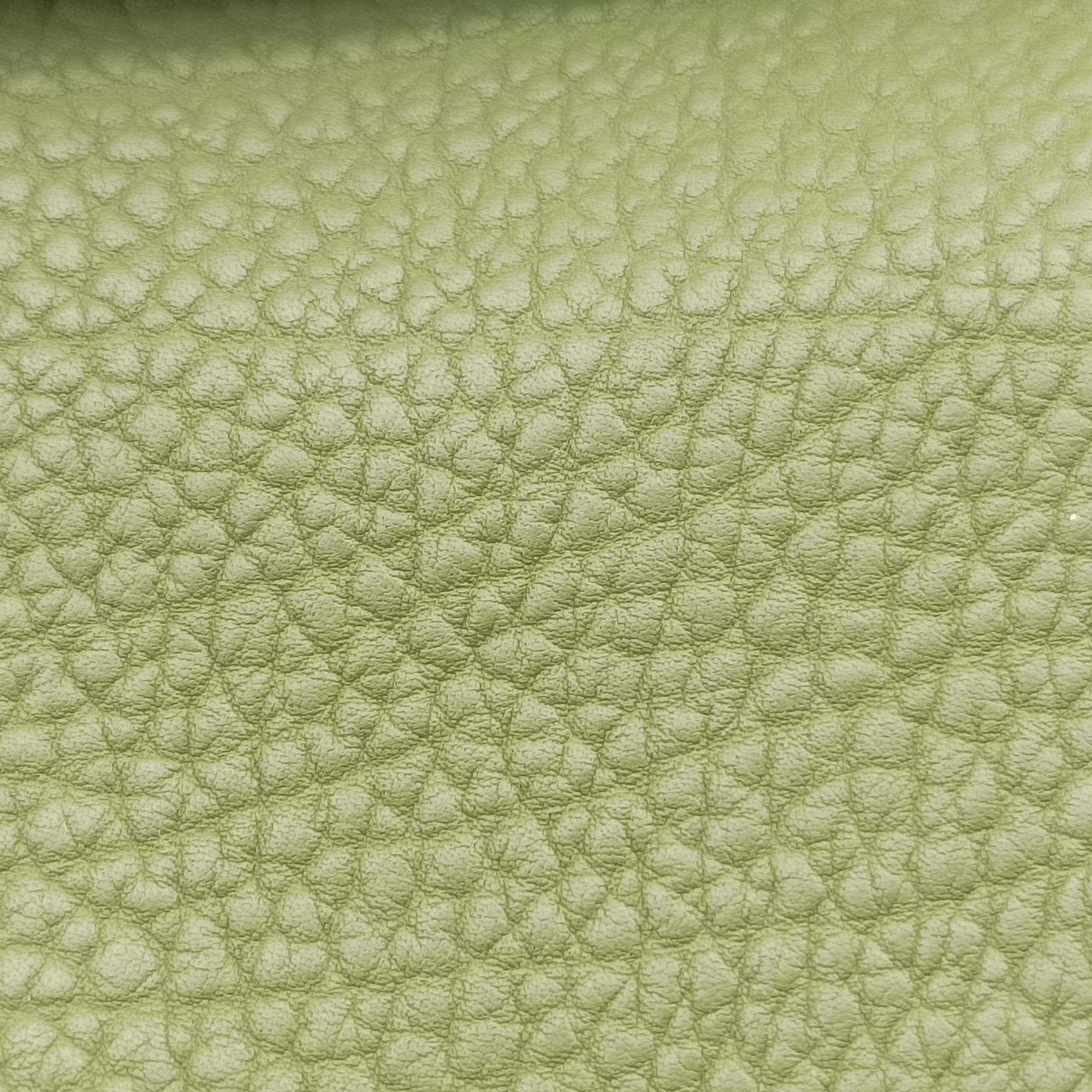 Mutin Green Leather CO6Hミュタン グリーン レザー CO6H