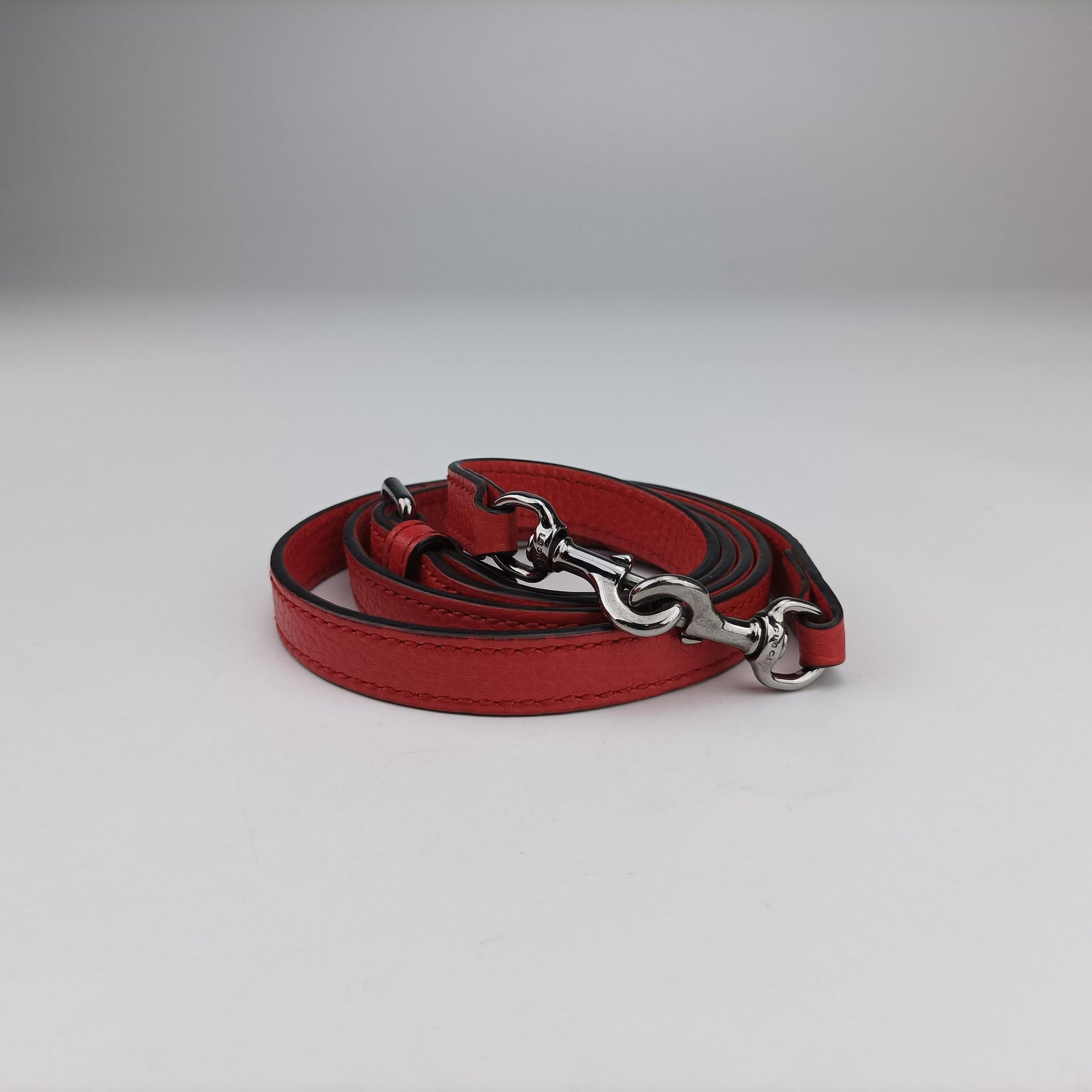 Microguccissima dome Red Leather 341504 F020050845マイクログッチシマ レッド レザー 341504 F020050845