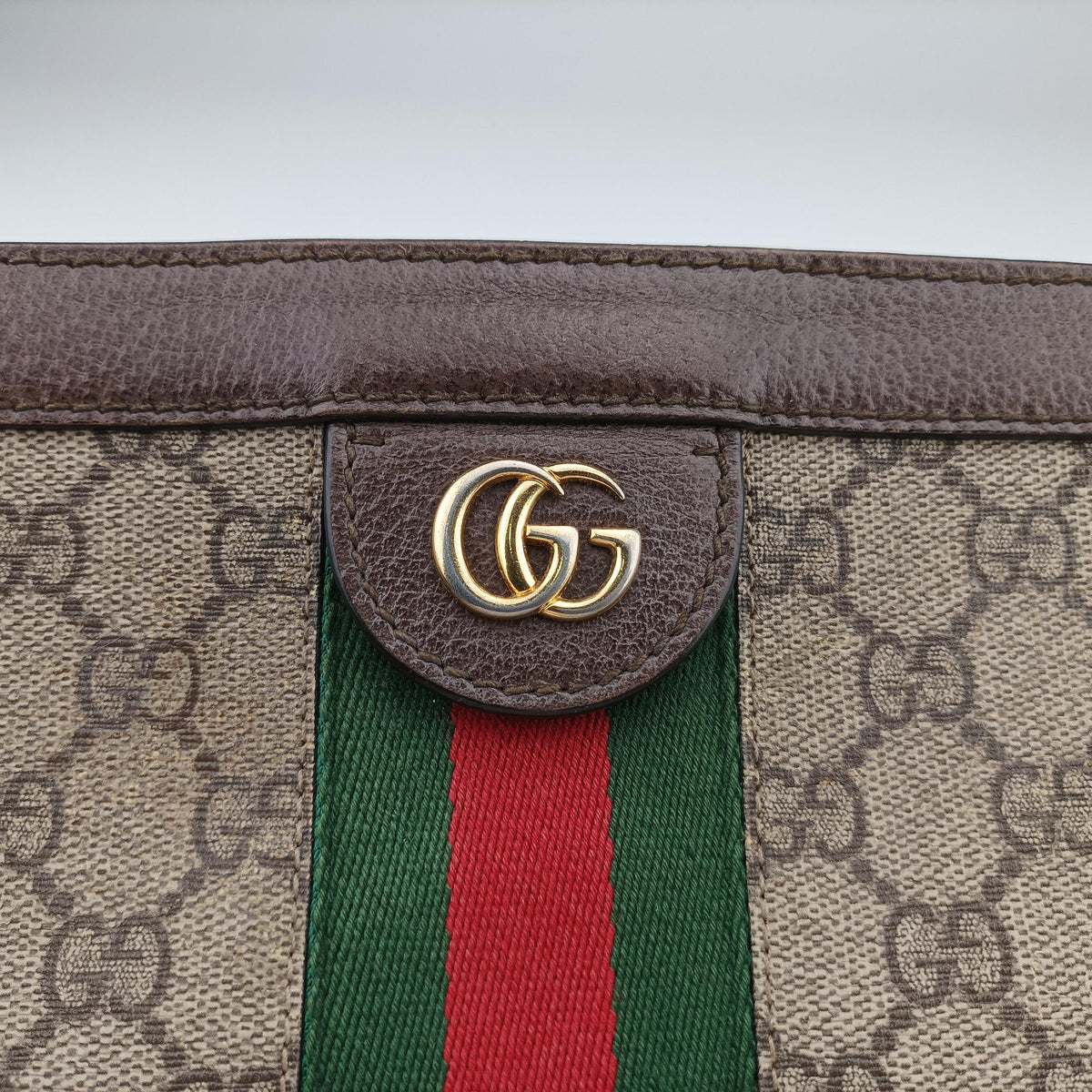 Ophidia Brown×Red×Green PVC coated canvas×Leather 503877 F022994361オフィディア ブラウン×レッド×グリーン PVCコーティングキャンバス×レザー 503877 F022994361