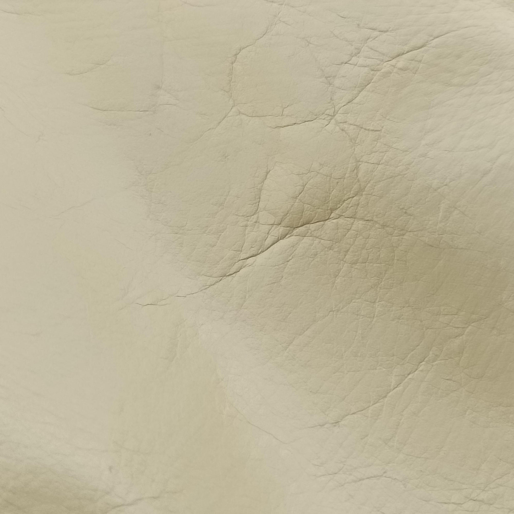 Sherry Line Beige Leather 181485 D2248891シェリーライン ベージュ レザー 181485 D2248891