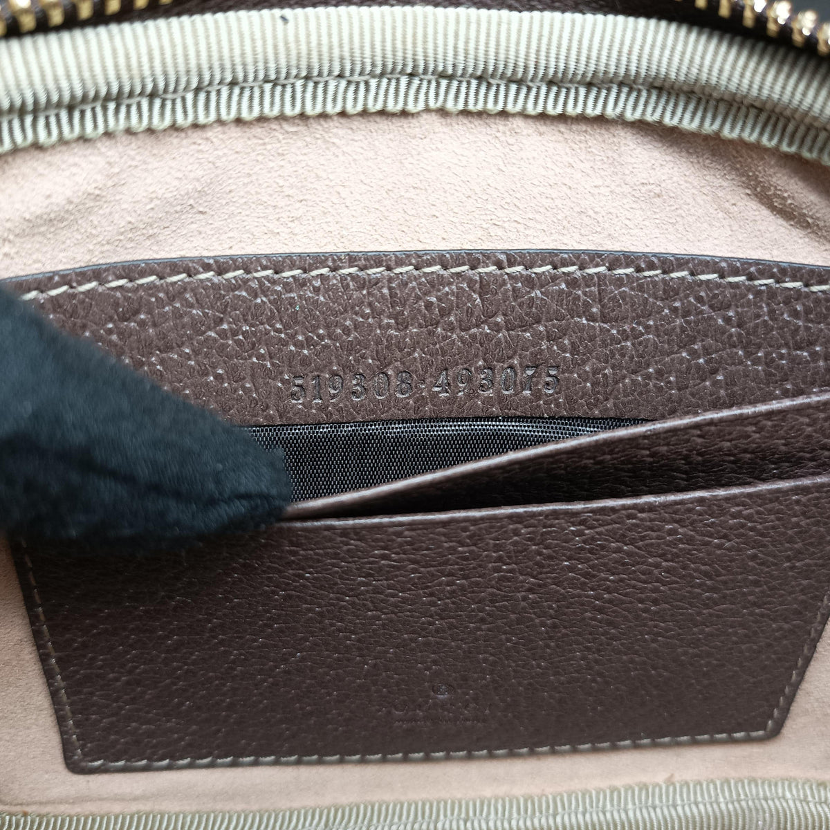 Ophidia Brown PVC coated canvas 519308 オフィディア ブラウン PVCコーティングキャンバス 519308