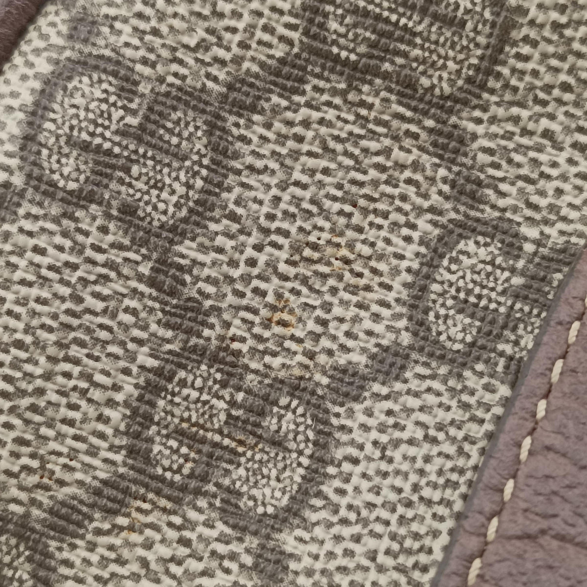 Ophidia Brown PVC coated canvas 519308 オフィディア ブラウン PVCコーティングキャンバス 519308