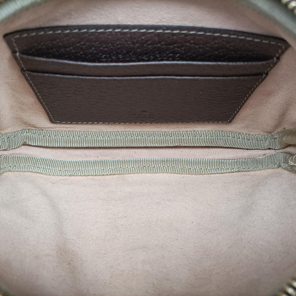 Ophidia Brown PVC coated canvas 519308 オフィディア ブラウン PVCコーティングキャンバス 519308