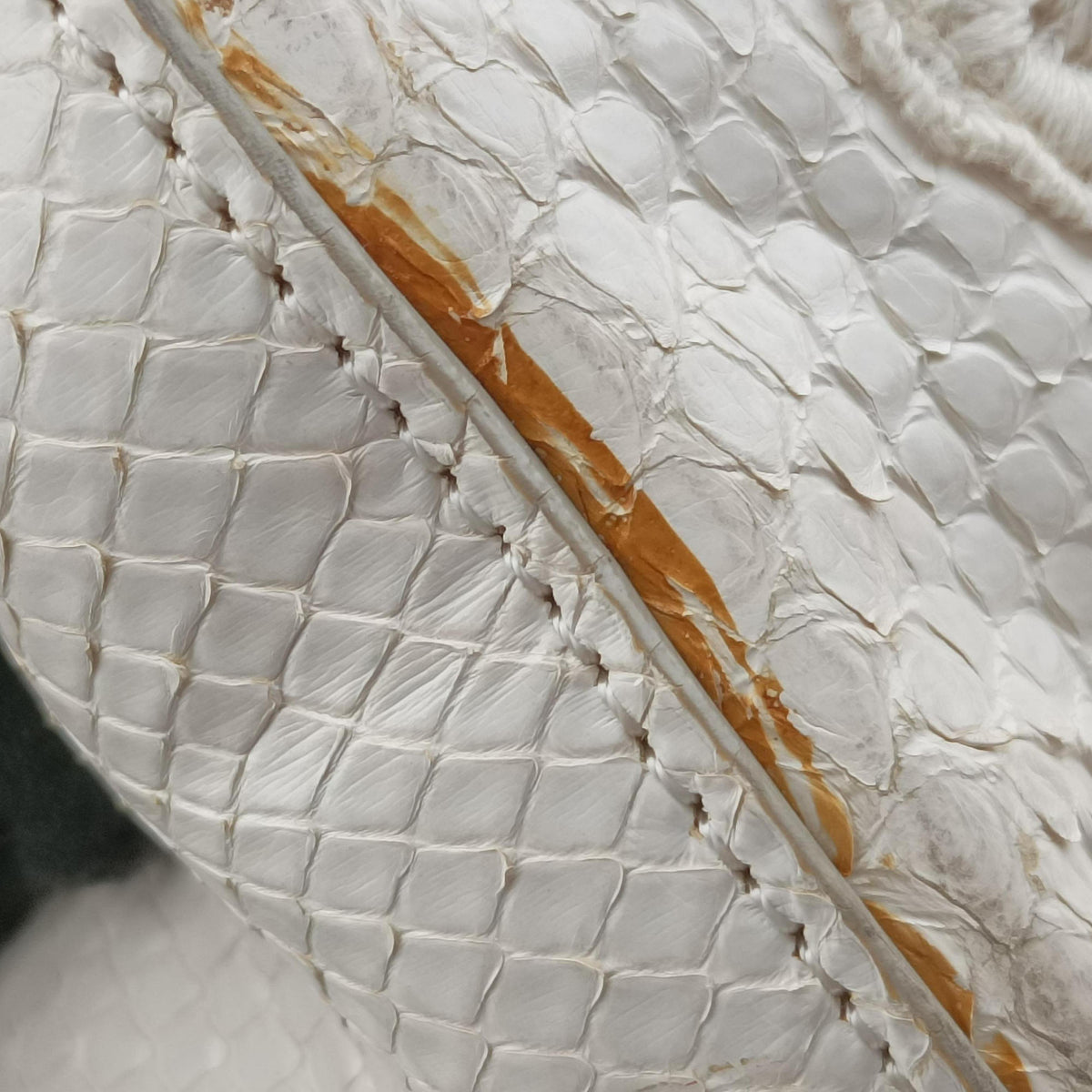 Vintage Dolce & Gabbana Sicily White Snakeskin x PVC shoulderbag | stylenewstar