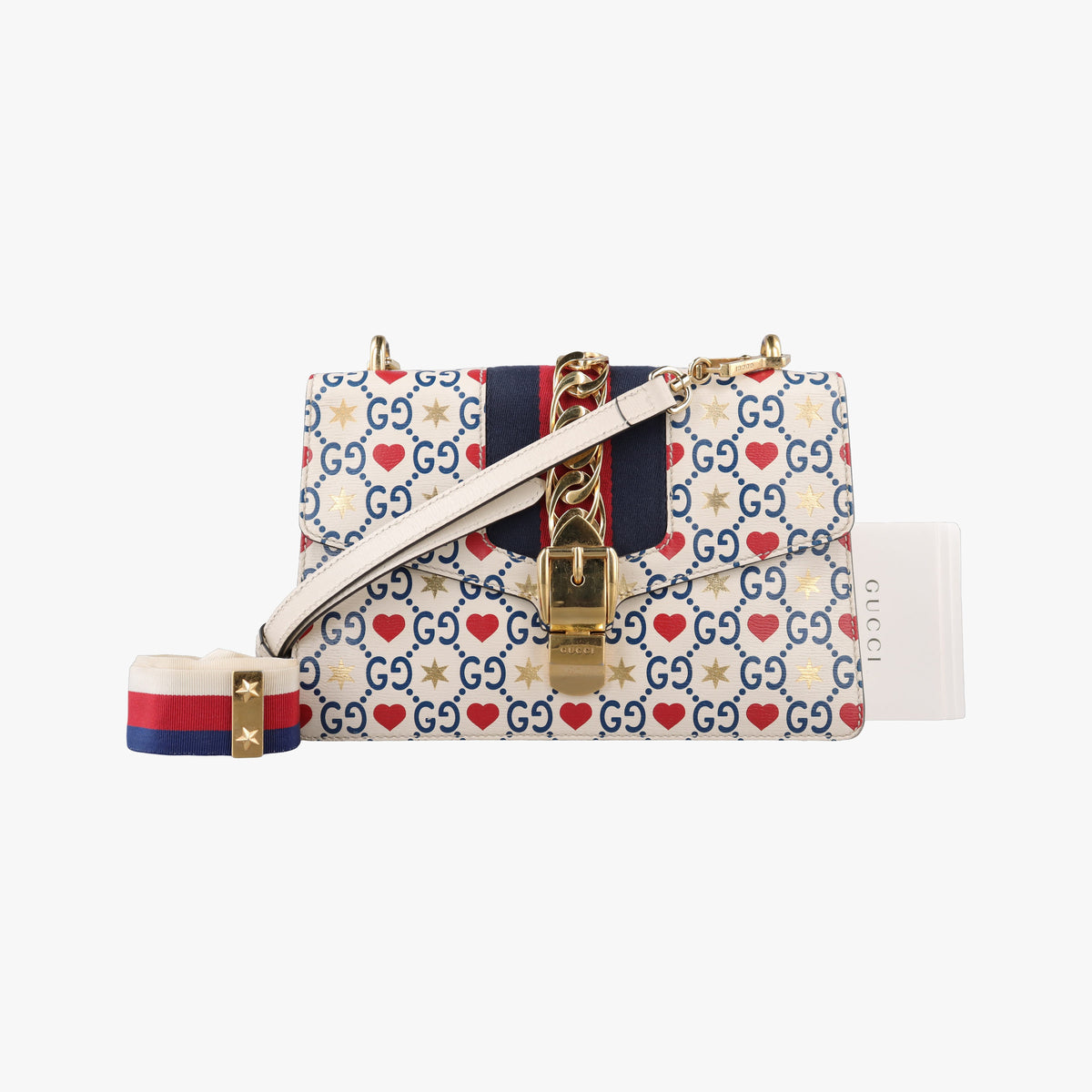 Sylvie Multicolour Leather 524405 D029477657シルヴィ マルチカラー レザー 524405 D029477657
