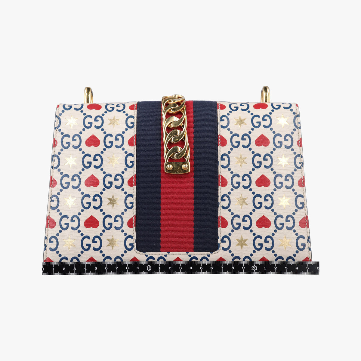 Sylvie Multicolour Leather 524405 D029477657シルヴィ マルチカラー レザー 524405 D029477657